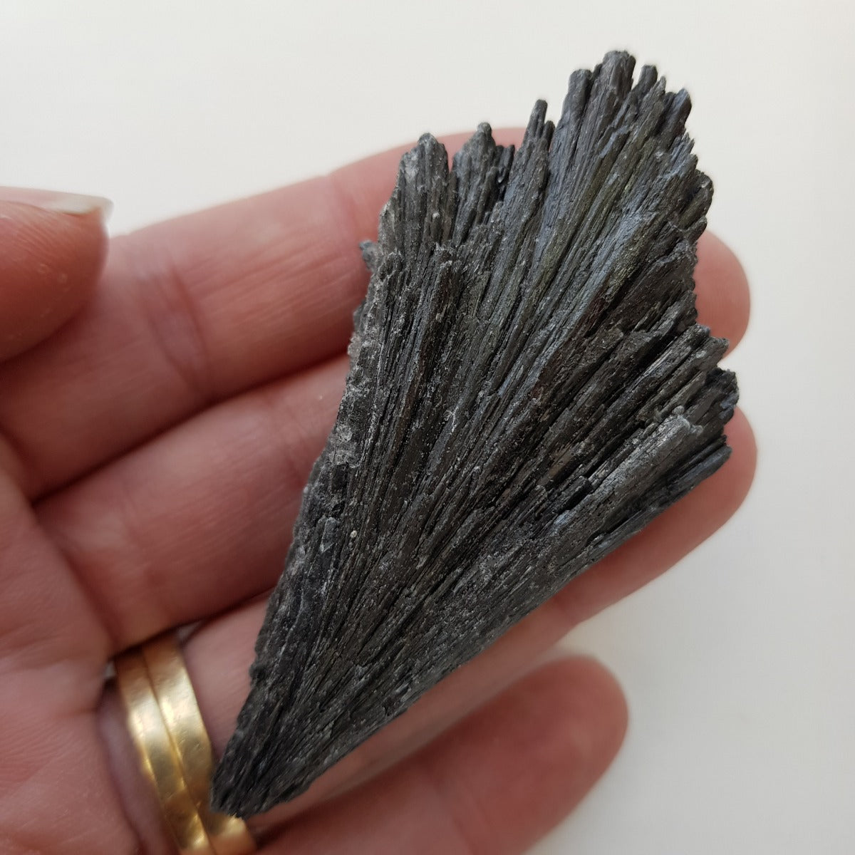 Rough - Kyanite Black 200gms (7-10pc)
