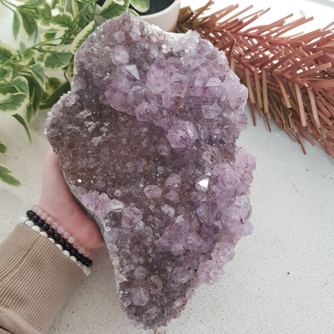 Amethyst Cluster - Large - D