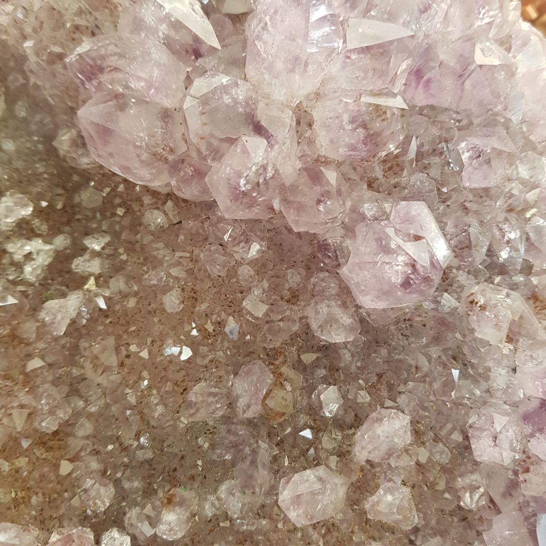 Amethyst Cluster - Large - D