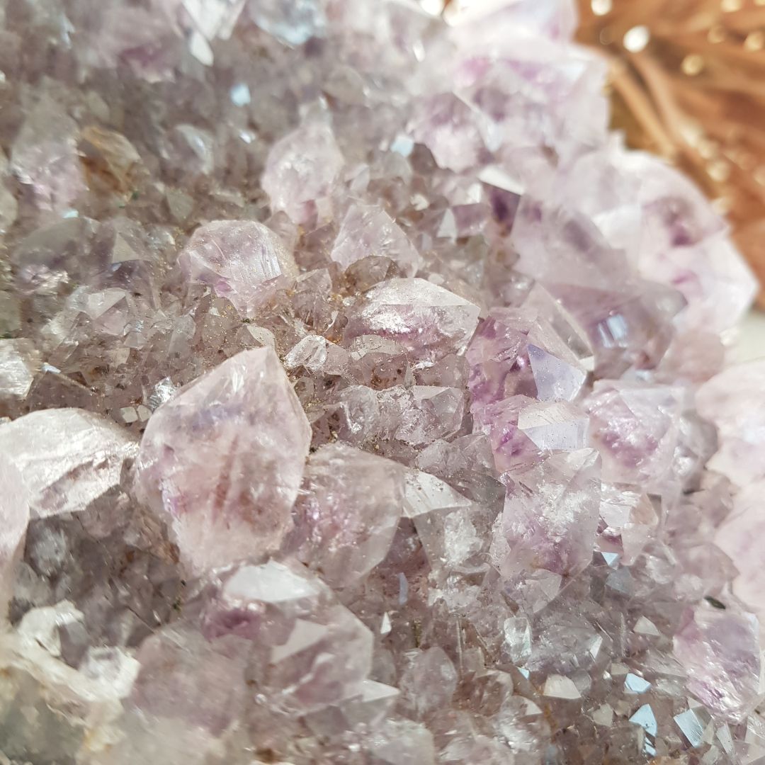 Amethyst Cluster - Large - D