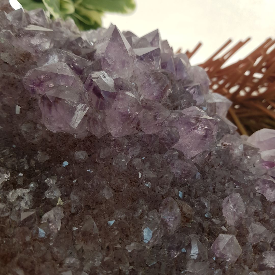 Amethyst Cluster - Large - D