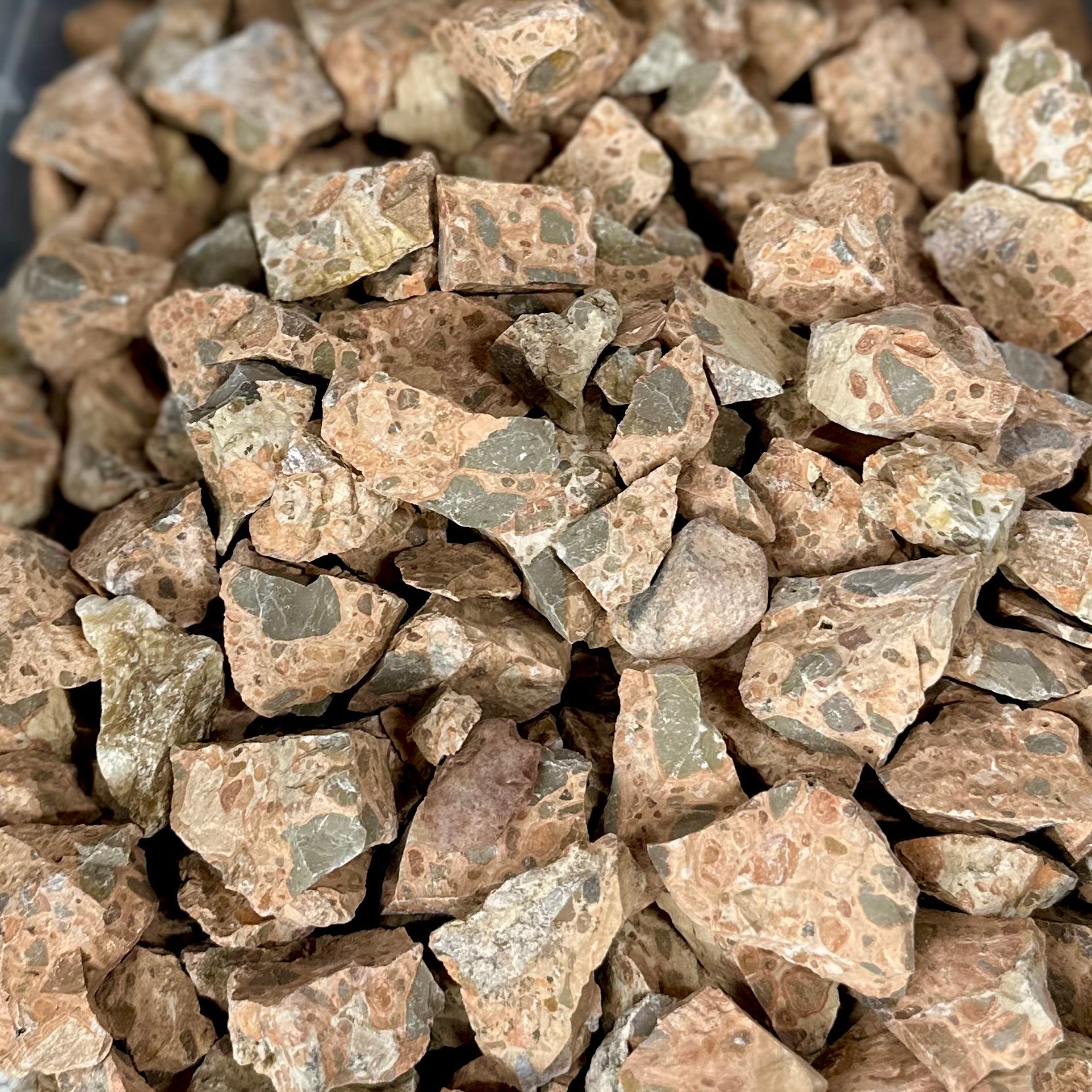 Leopard Jasper-Rough- 7-10pc
