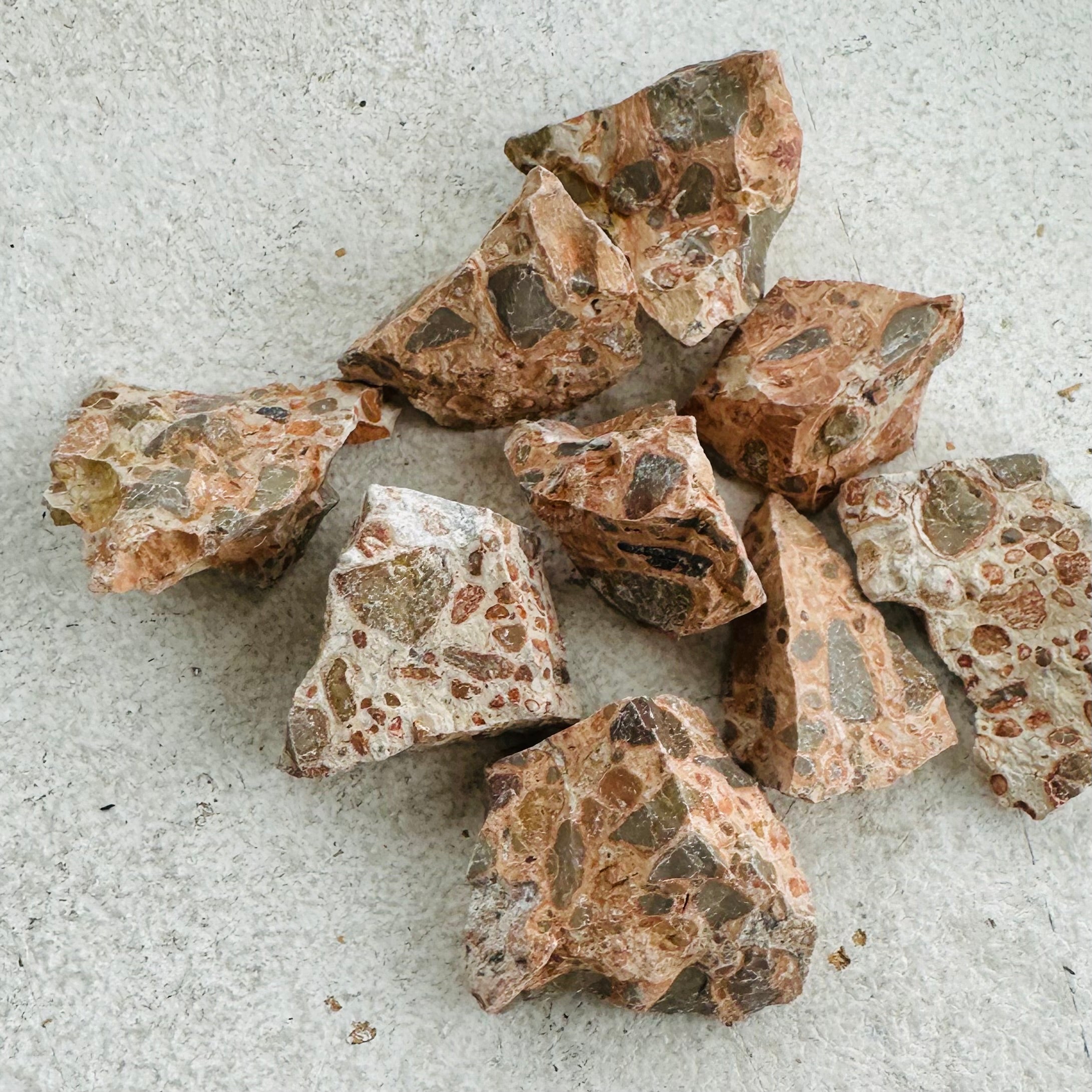 Leopard Jasper-Rough- 7-10pc