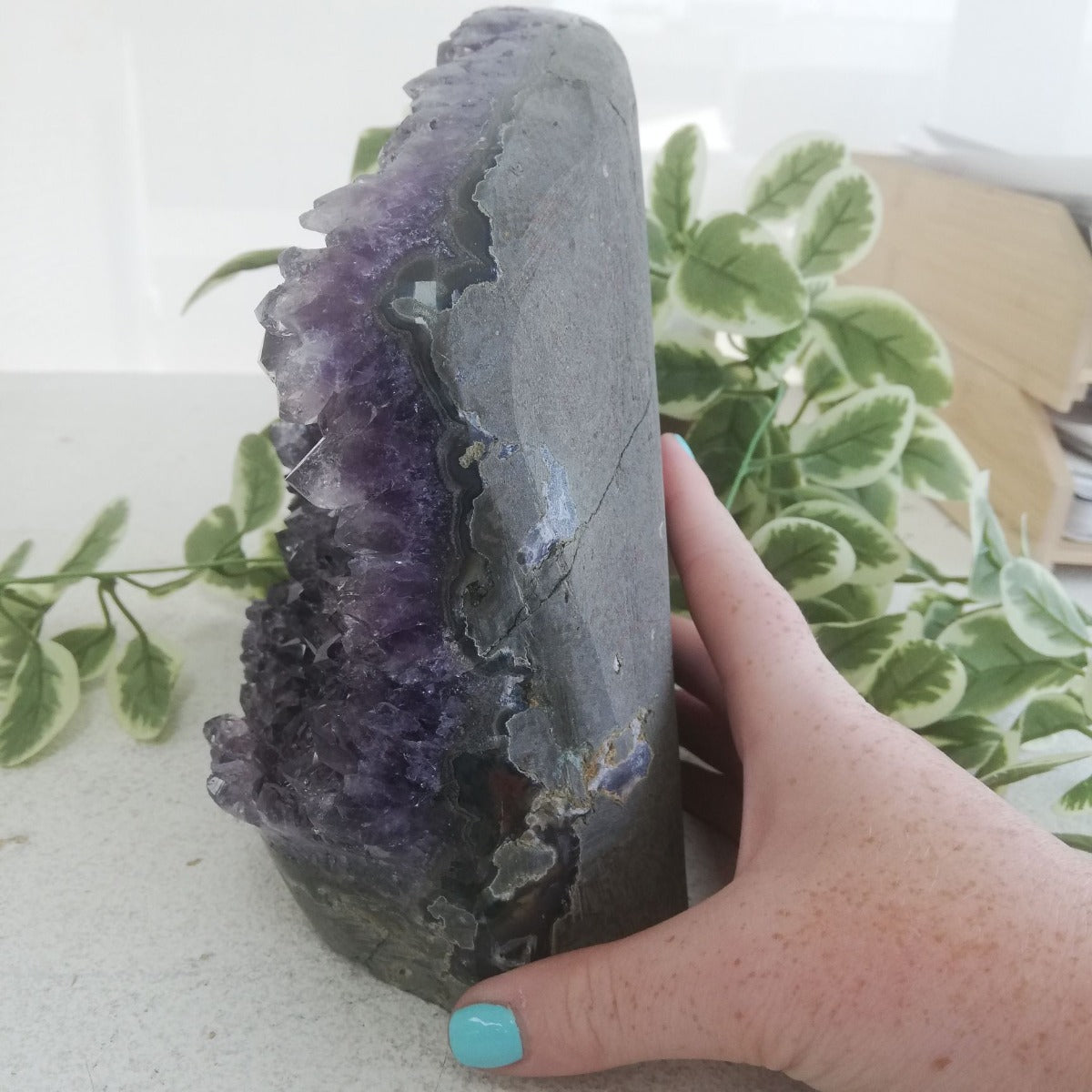 Amethyst - Cut Base Cluster - 65