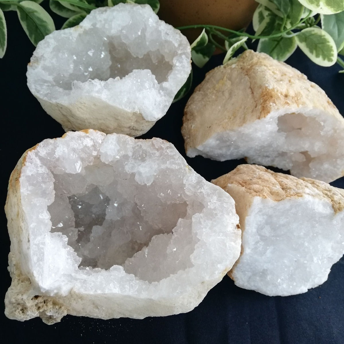 Quartz Geode - Large - Pair