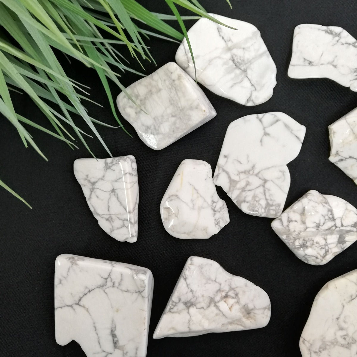 Polished Slabs - Howlite - 500g(10-20)pc