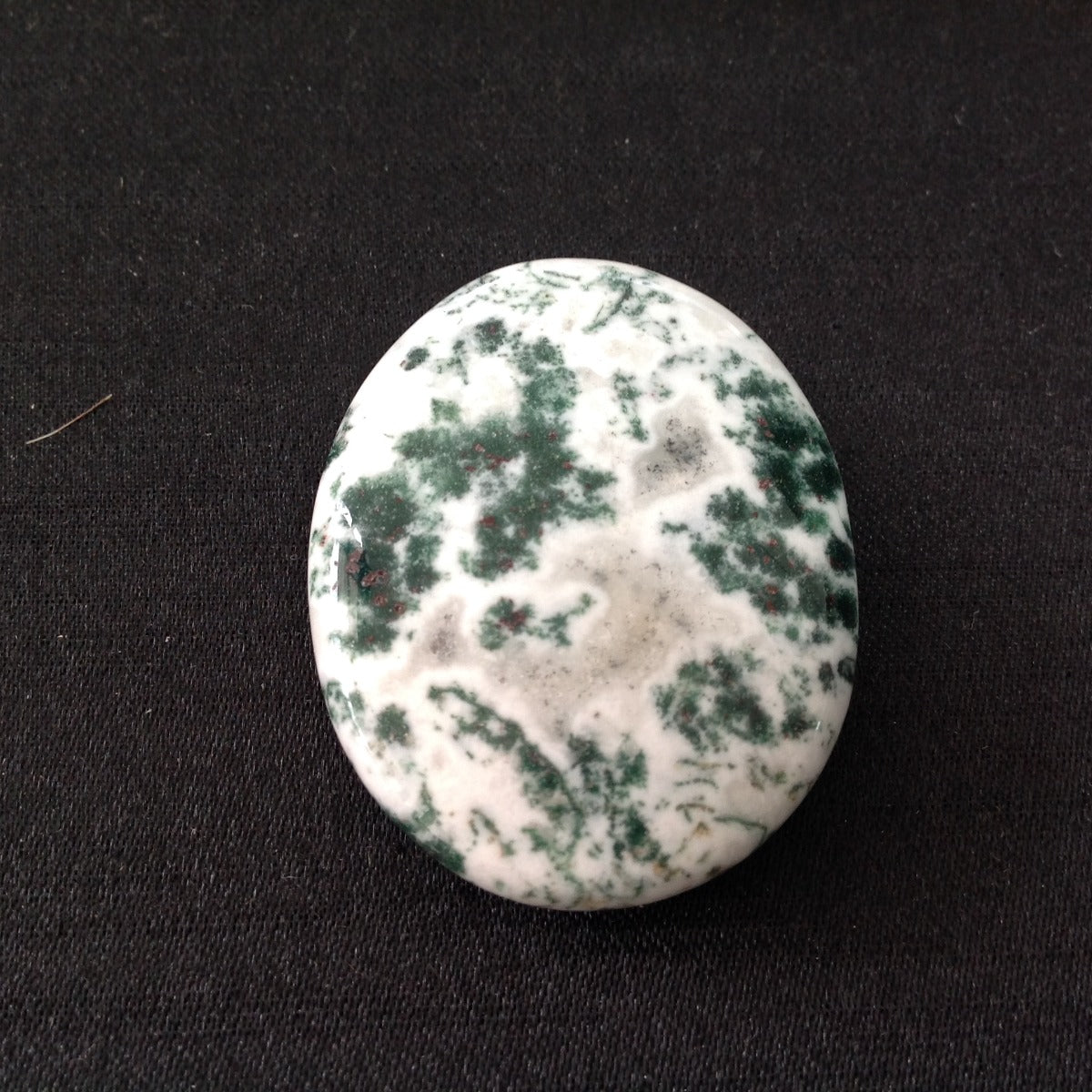 Pocket Palm Stone - Tree Agate