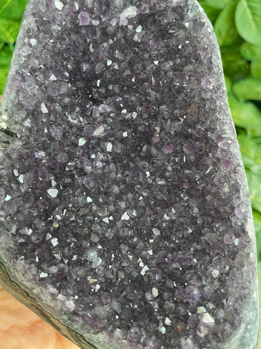 Amethyst - Cut Base Cluster - 76