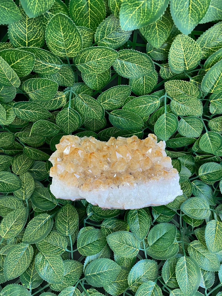 Citrine Cluster - 17