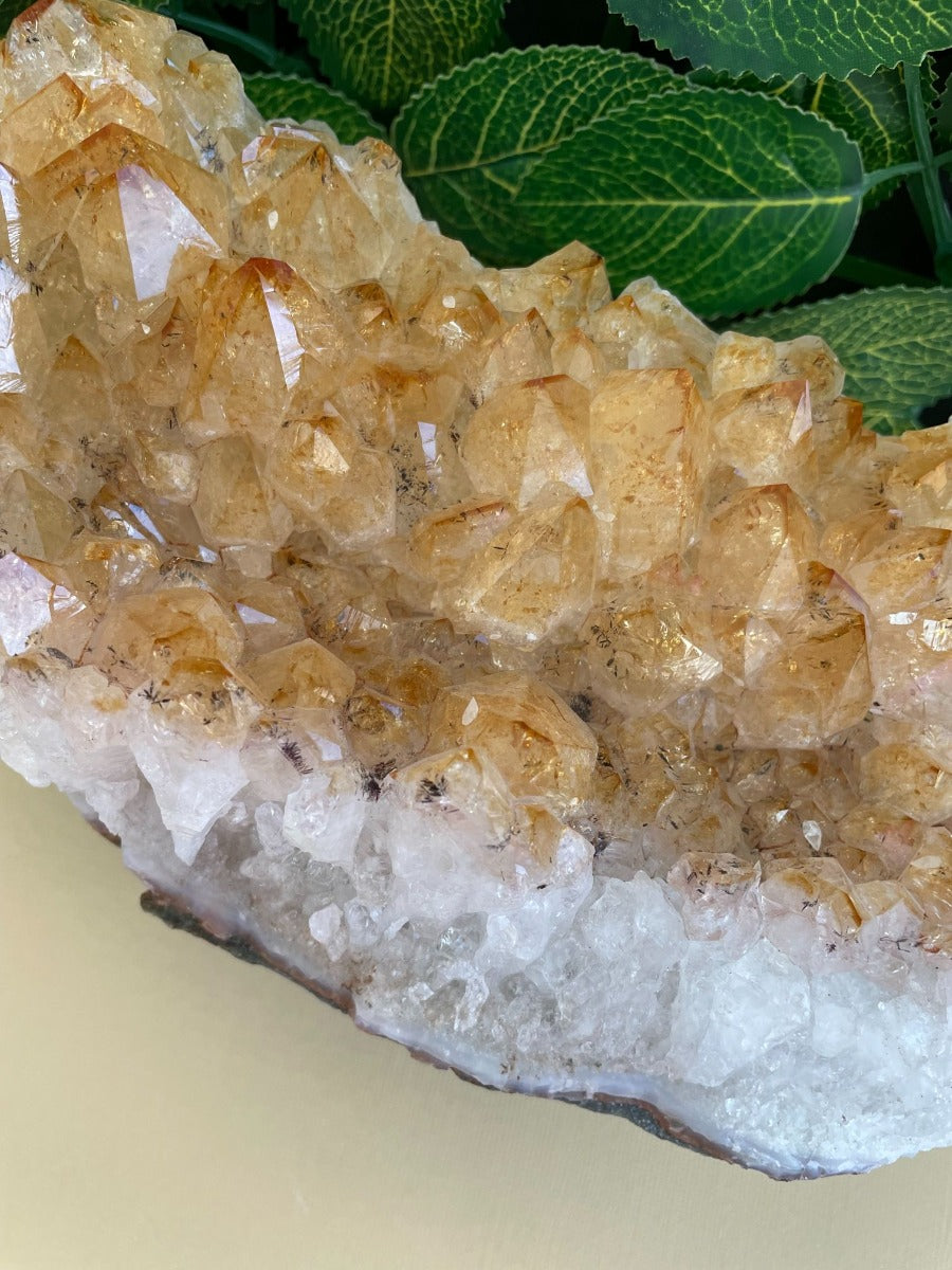 Citrine Cluster - 17