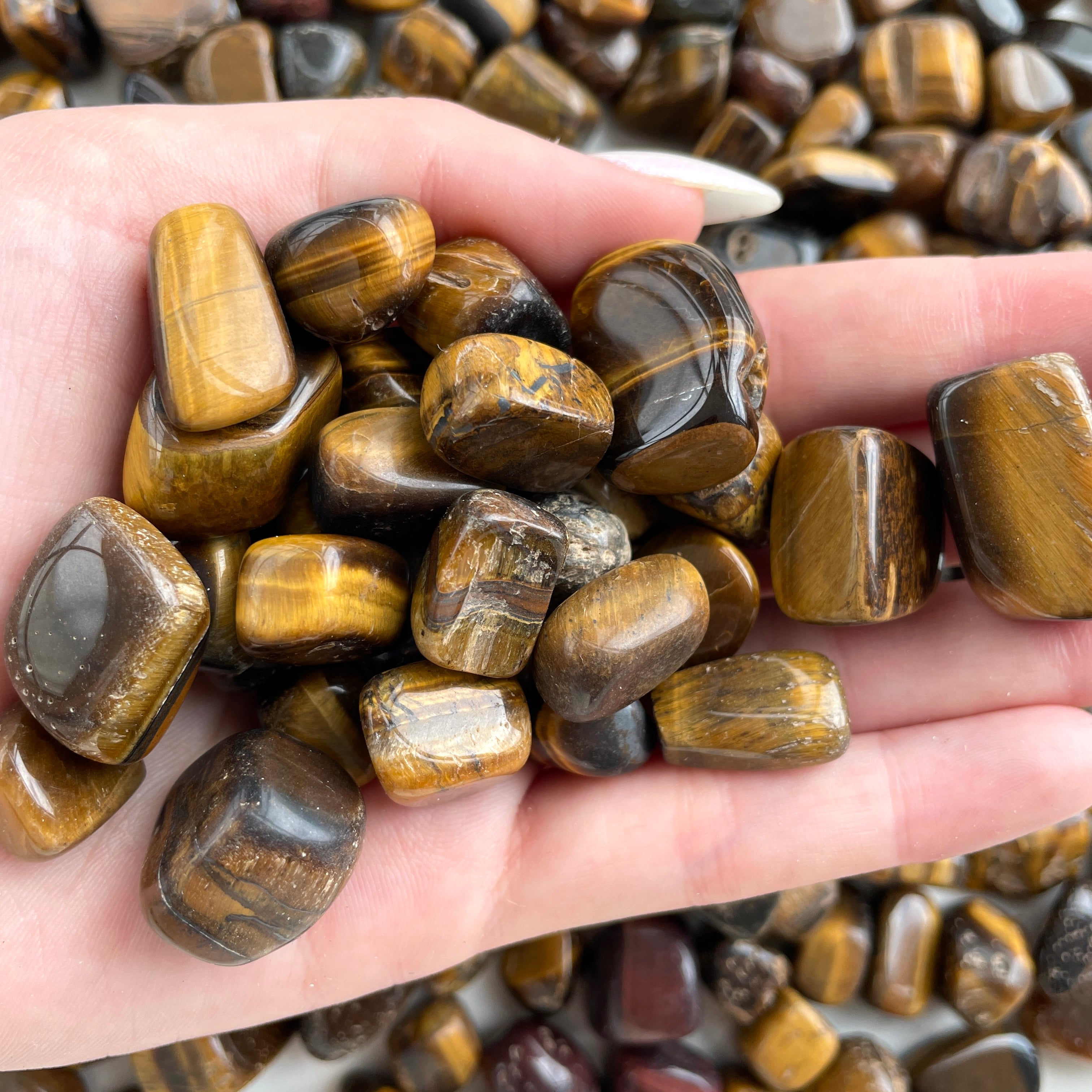 Tigers Eye Tumbled 1KG SM - 'B'