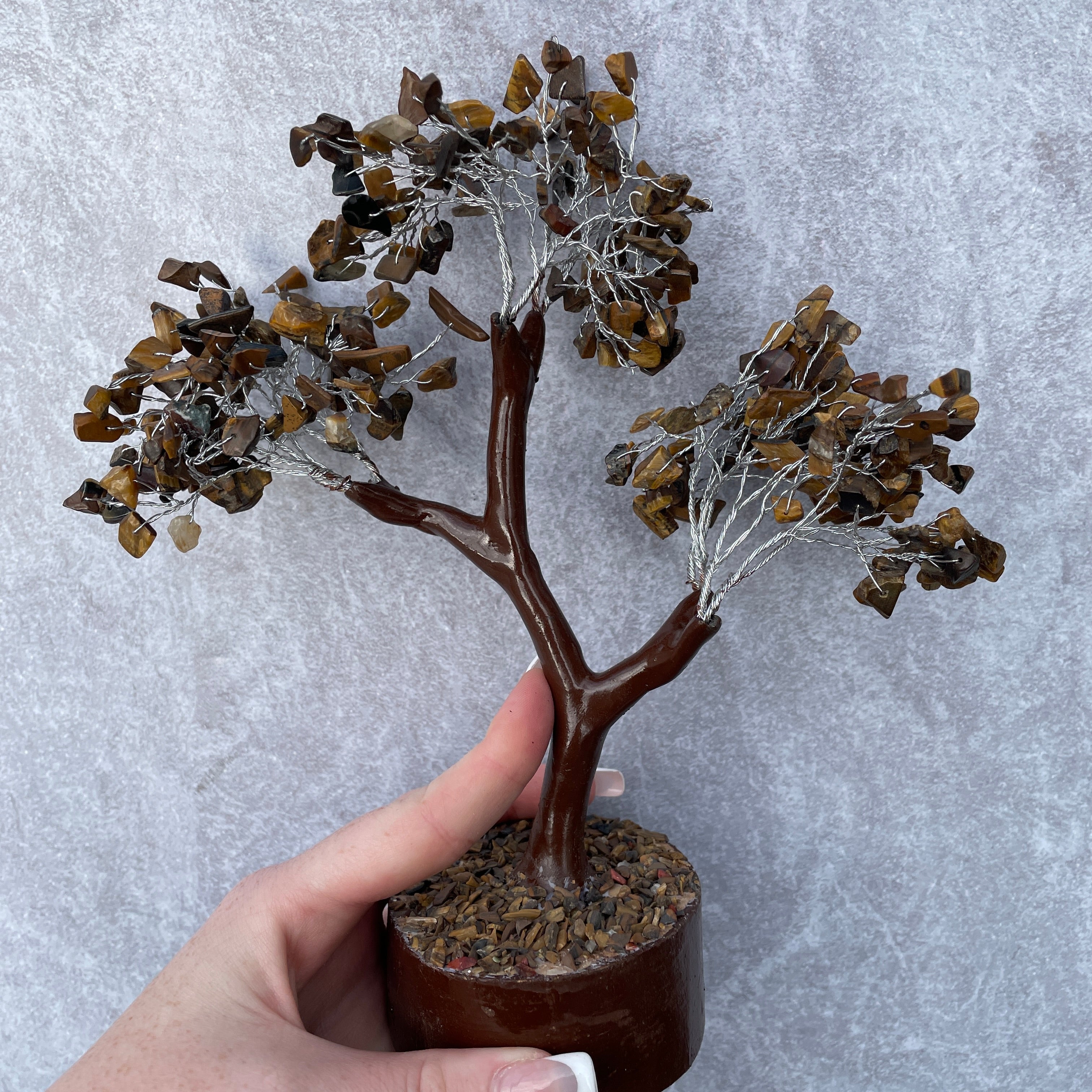 Tigers Eye Tree - Large 020