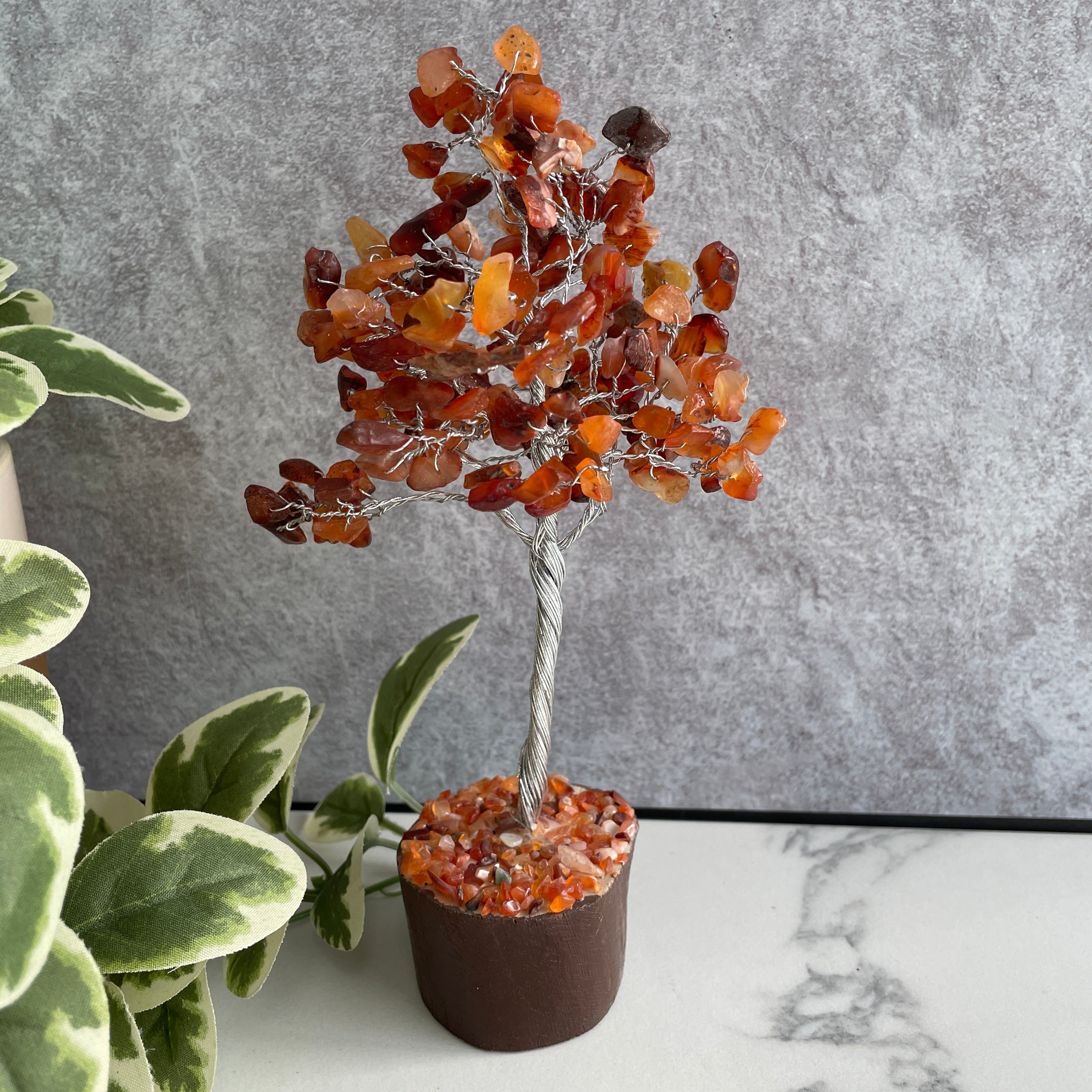 Carnelian Tree - Medium 012