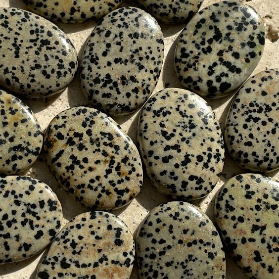 Dalmatian Jasper - Small Palm Stone (IN)