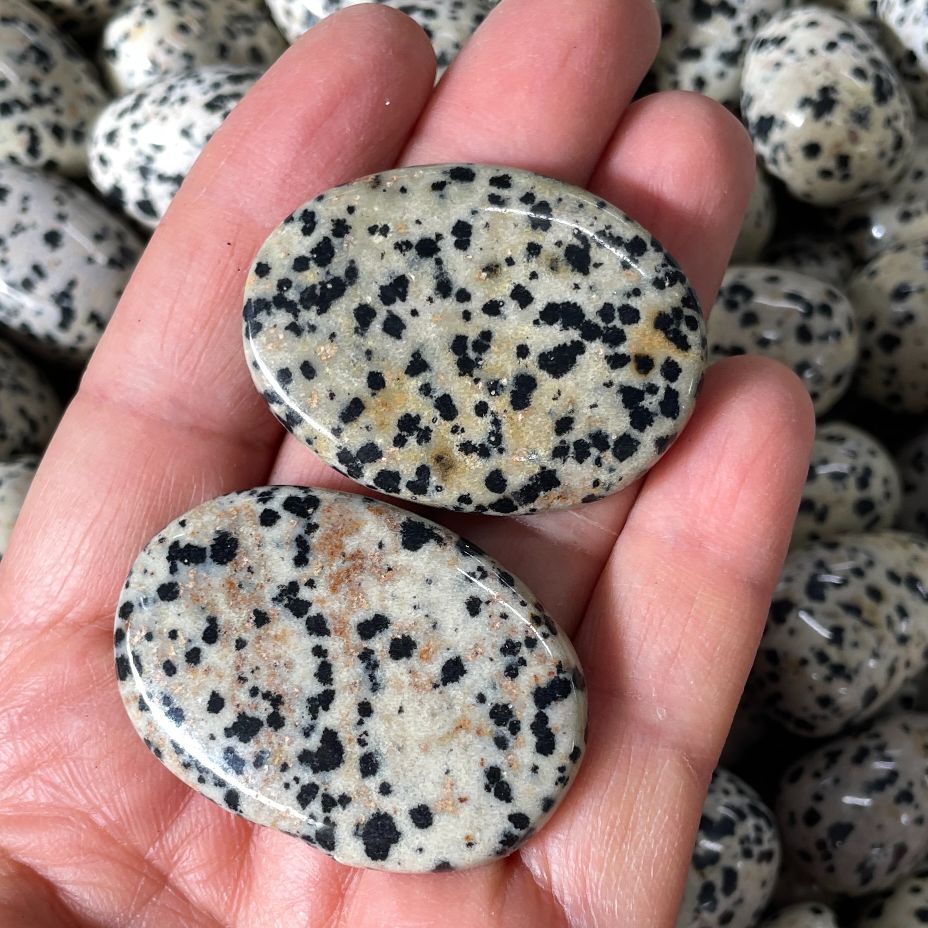 Dalmatian Jasper - Small Palm Stone (IN)