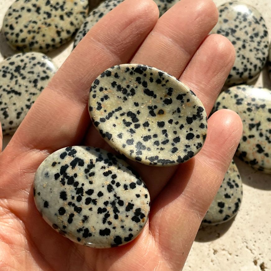 Dalmatian Jasper - Small Palm Stone (IN)