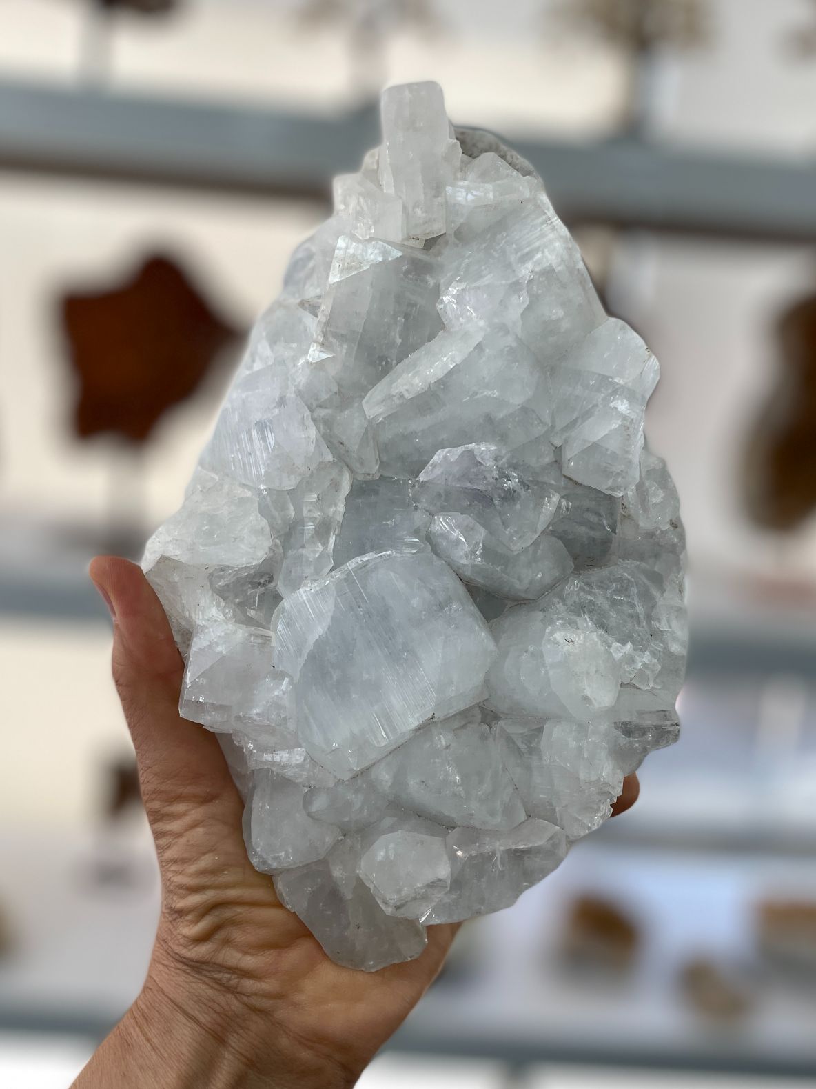 Apophyllite Cluster - 03