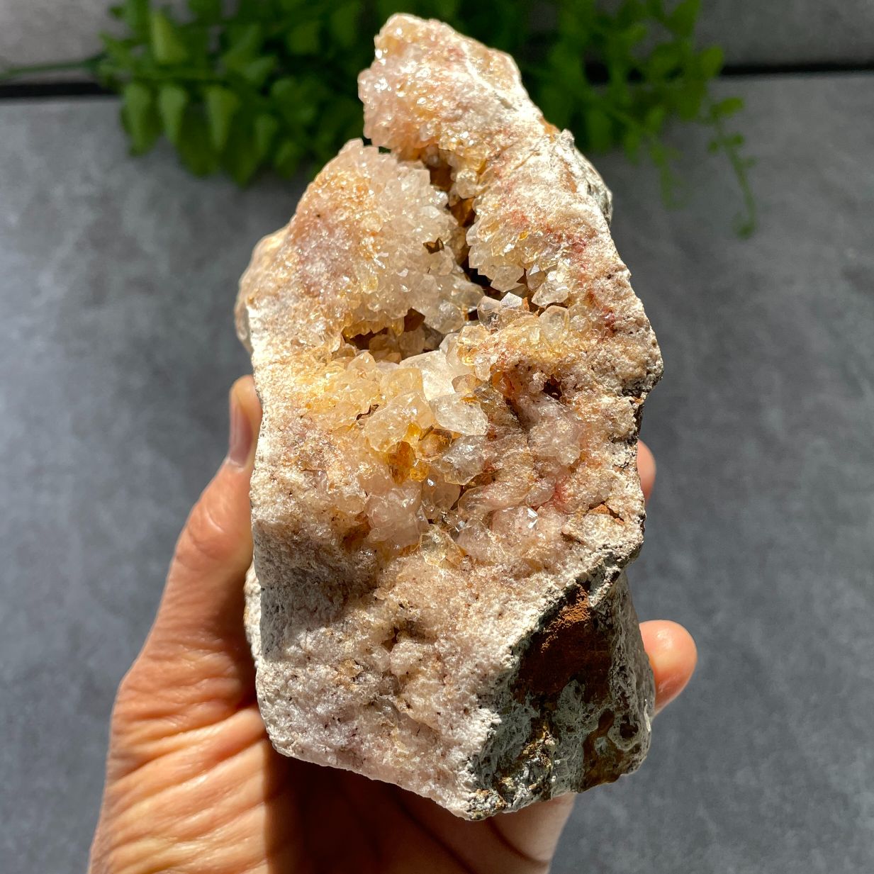 Pink Amethyst Cluster - 16