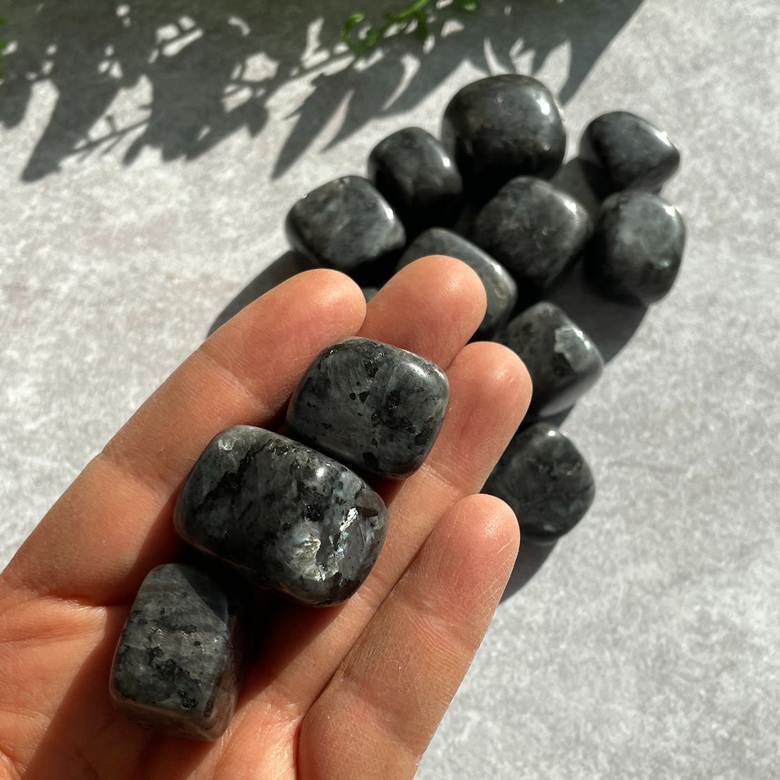 Larvikite Tumbled (IN) - 250g