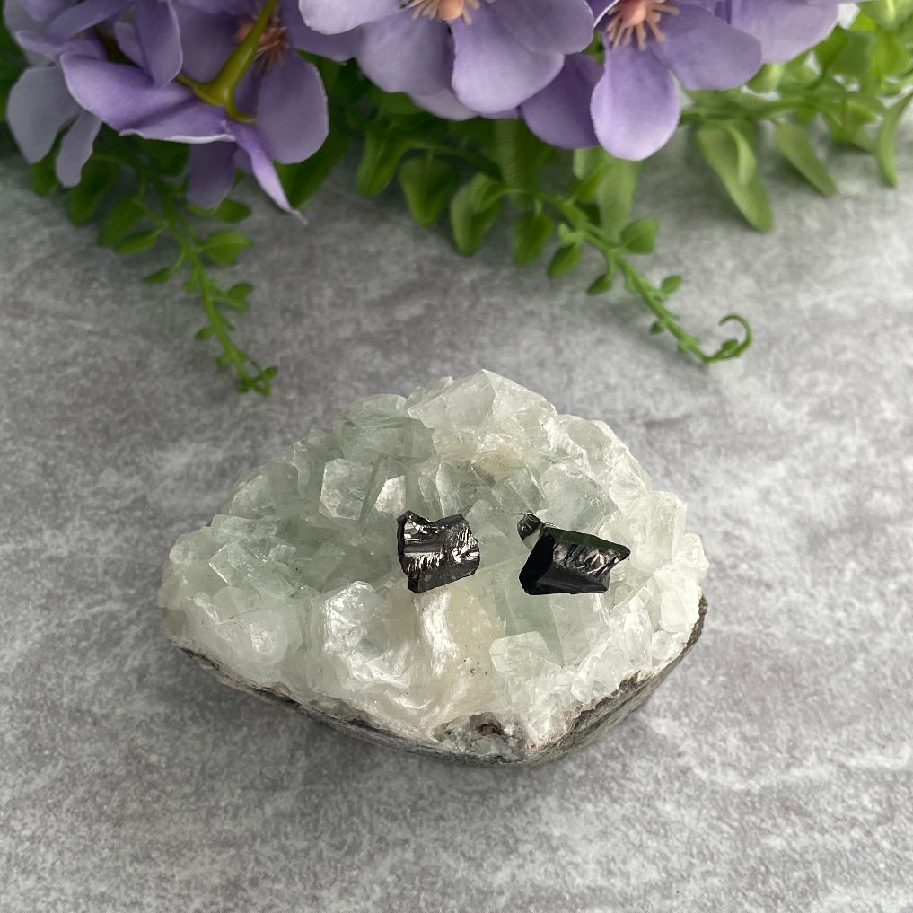 Shungite Elite Rough Stud Earrings