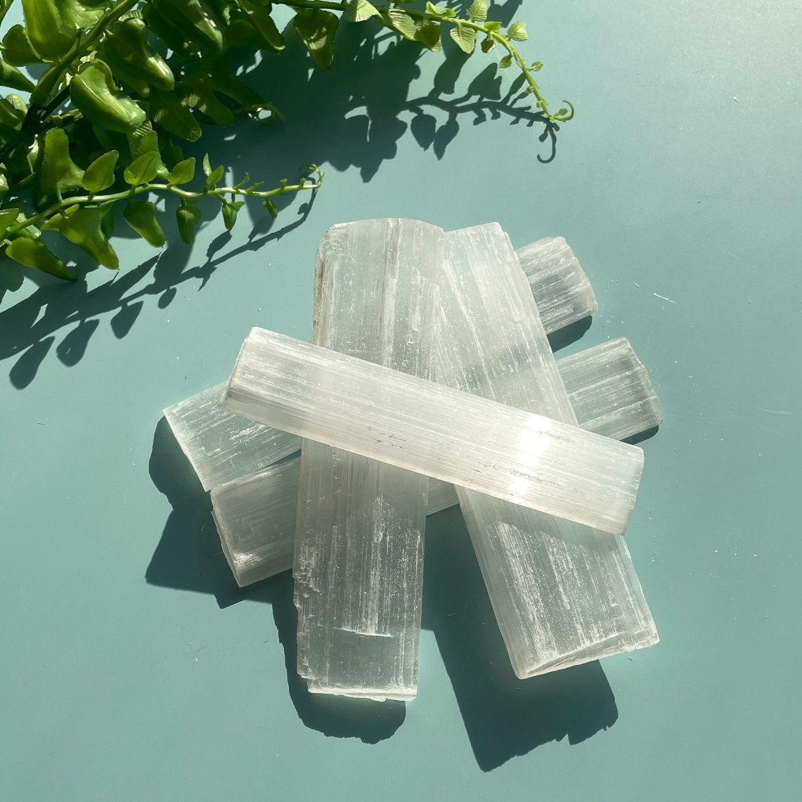 Selenite Rough 5pc - 8cm-12cm