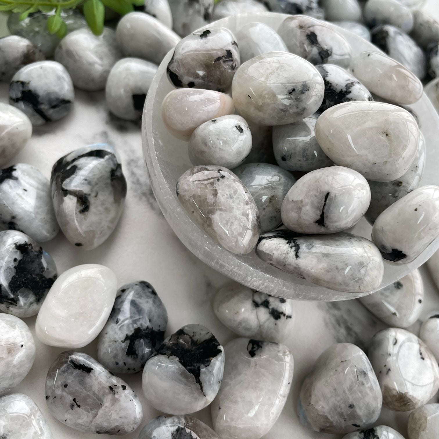Rainbow Moonstone Tumbled - 1KG (50-60pc)