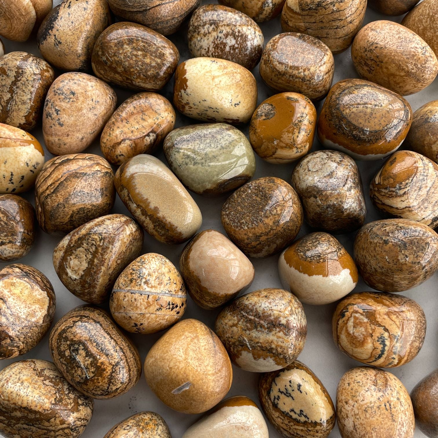 Picture Jasper Tumbled - (60 to 80) - 1KG