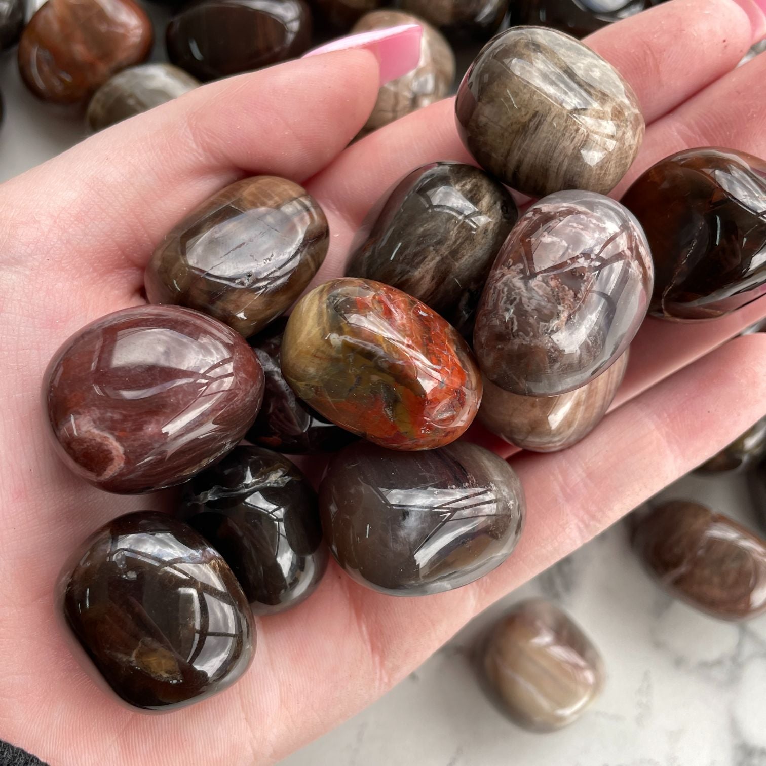 Firewood Agate Tumbled 1KG