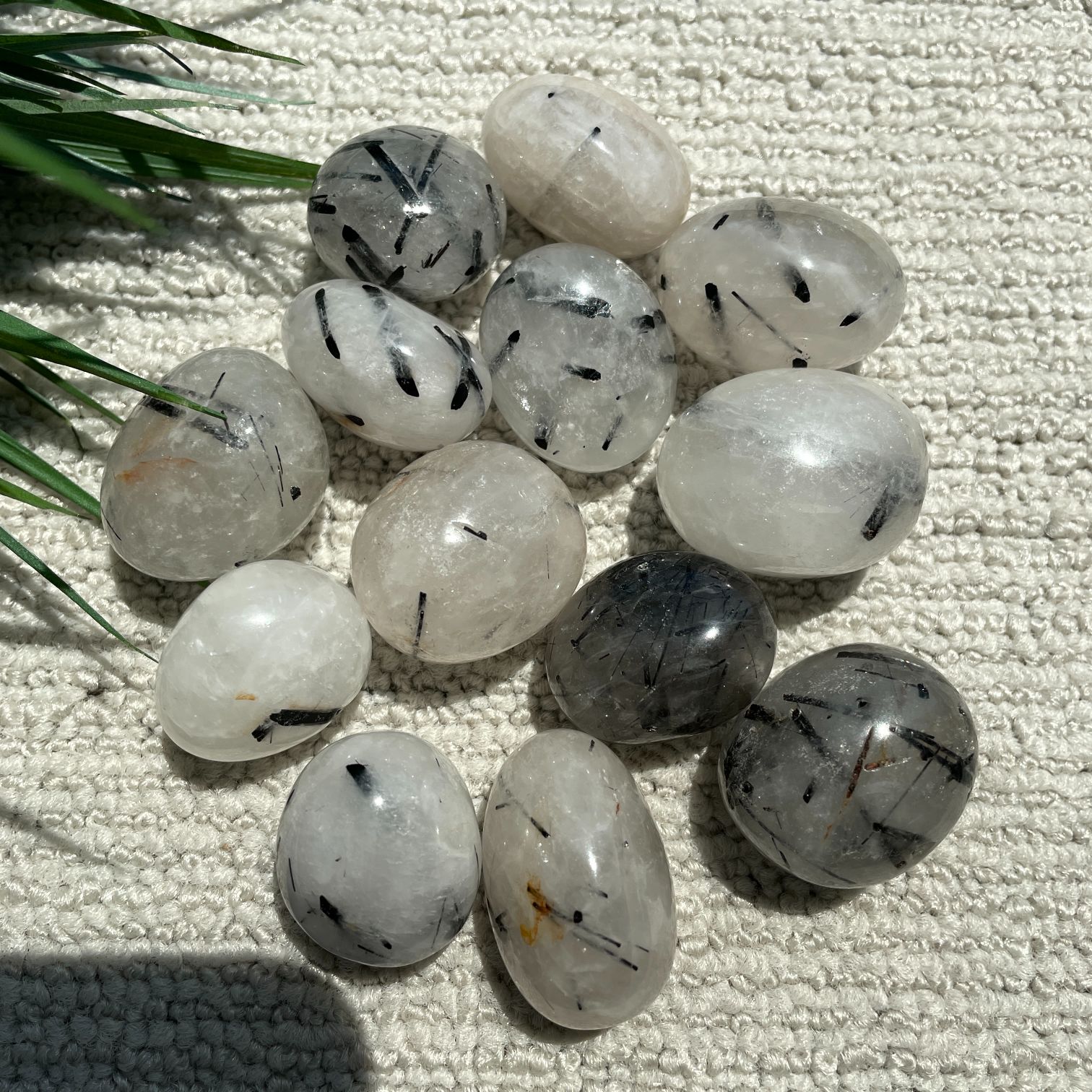 Tourmalinated Qtz Tumbled - 200gms -Q1