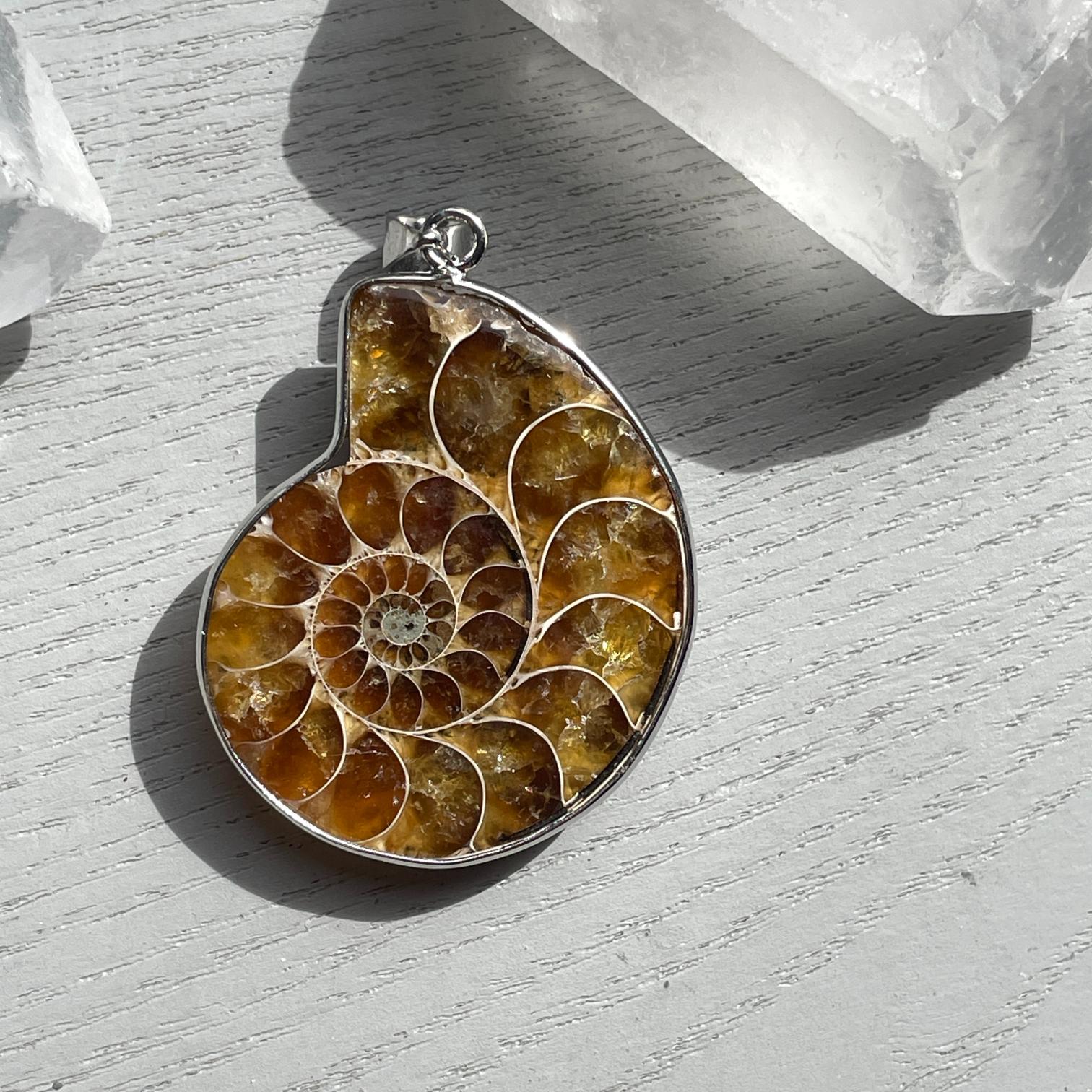 Ammonite Pendant - 1pc
