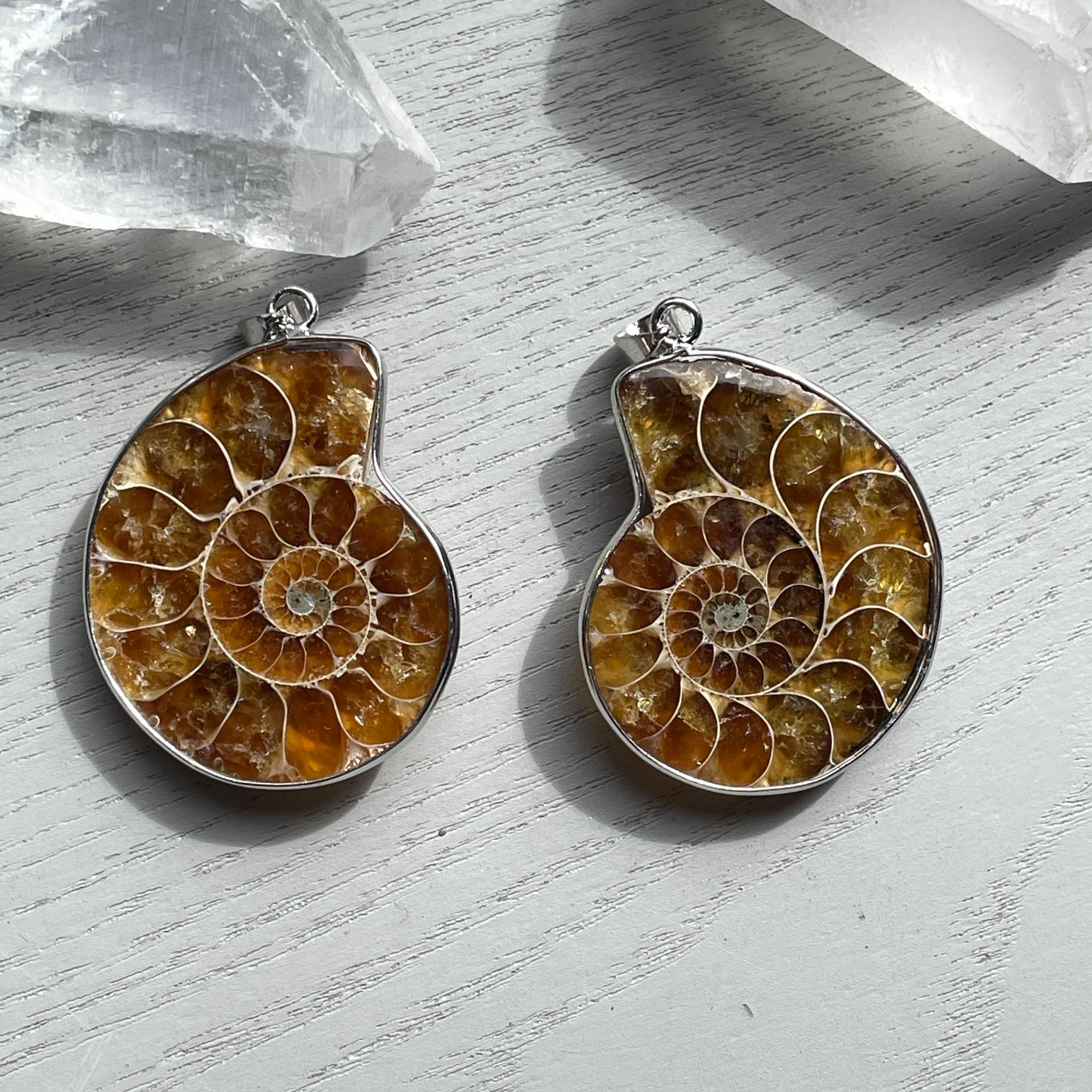 Ammonite Pendant - 1pc