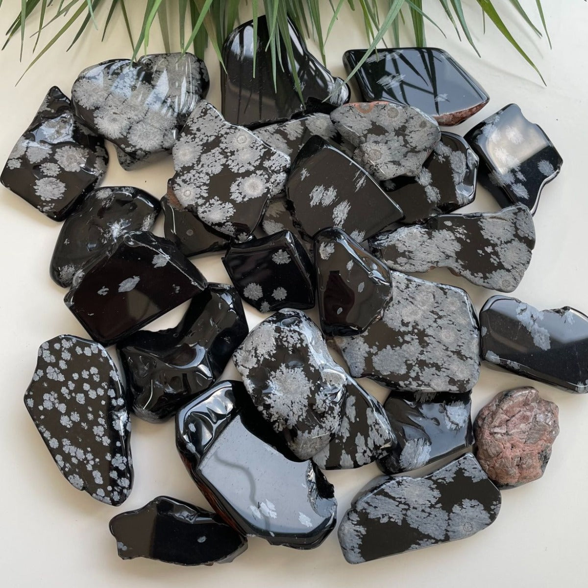 Polished Slabs - Snowflake Obsidian - 500g(15-25)pc
