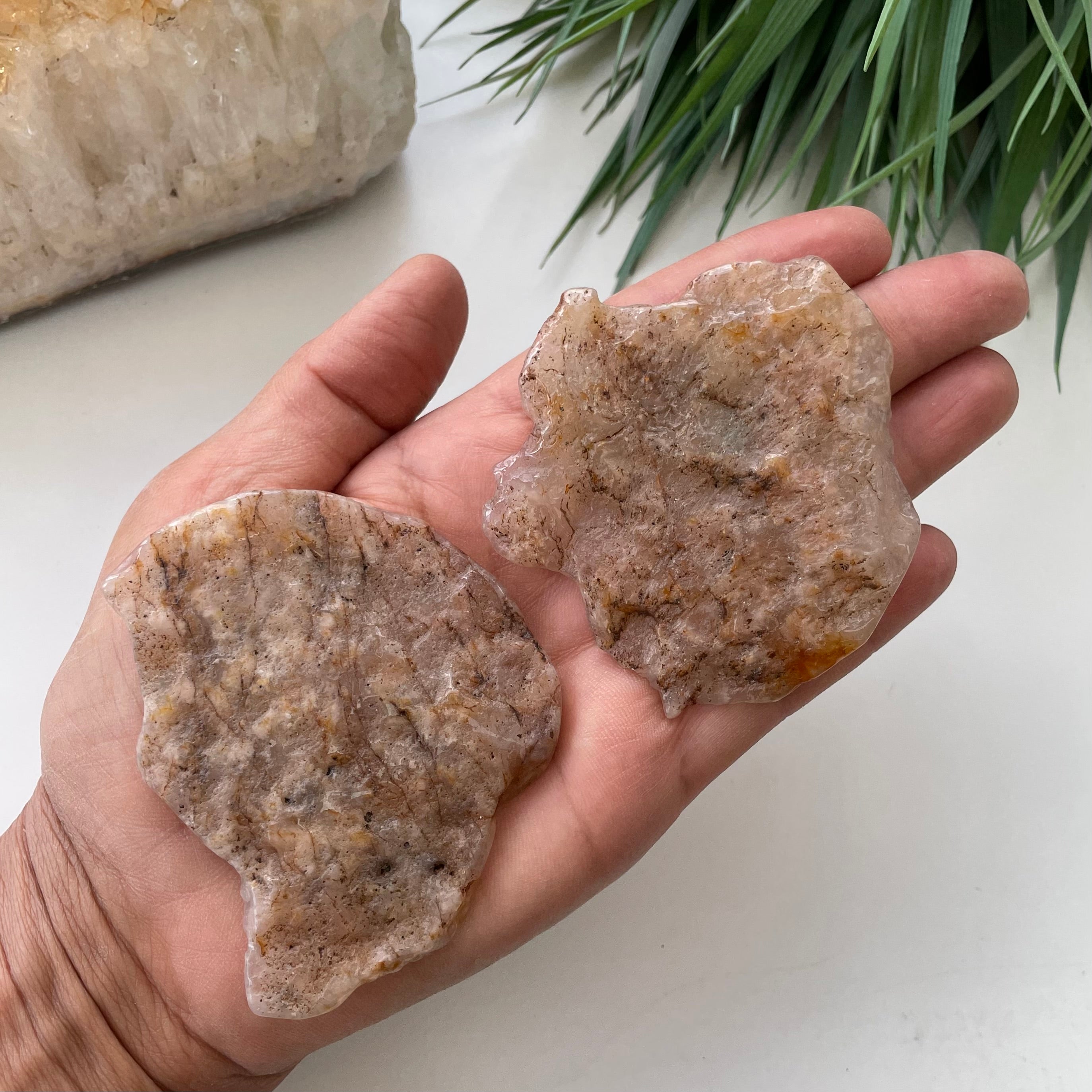 Flower Agate Freeform Slab 1pc - Large