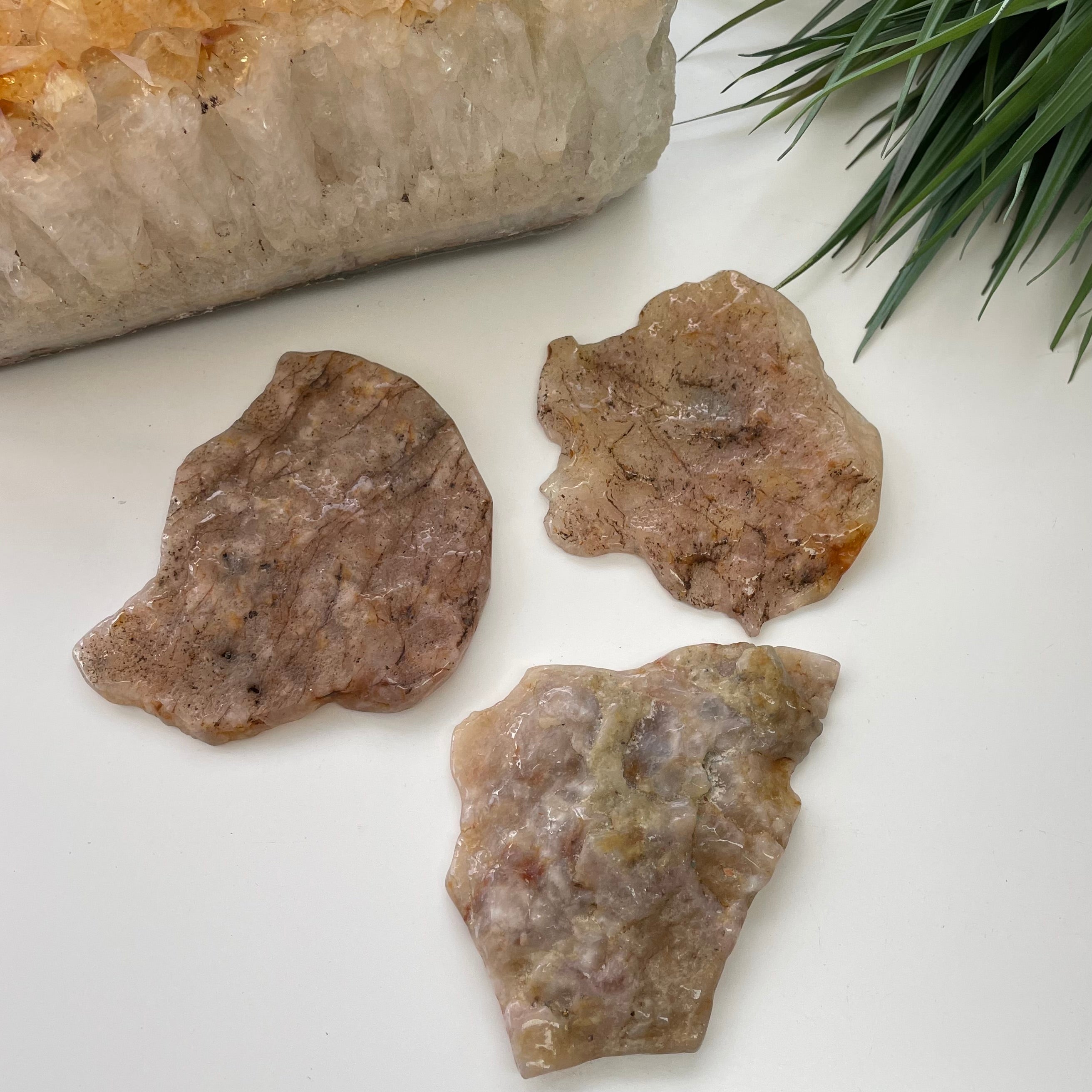 Flower Agate Freeform Slab 1pc - Large