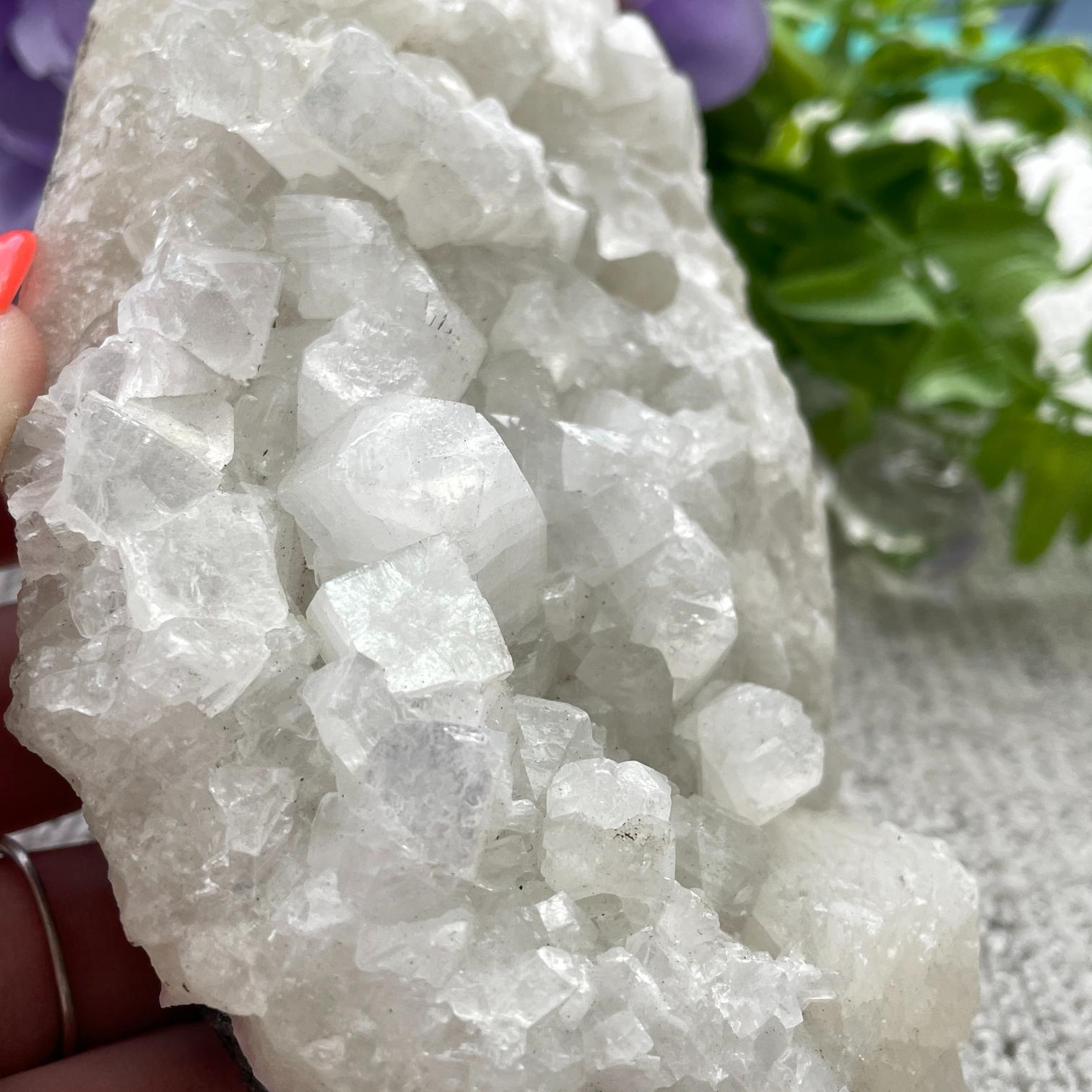 Apophyllite Cluster - 11