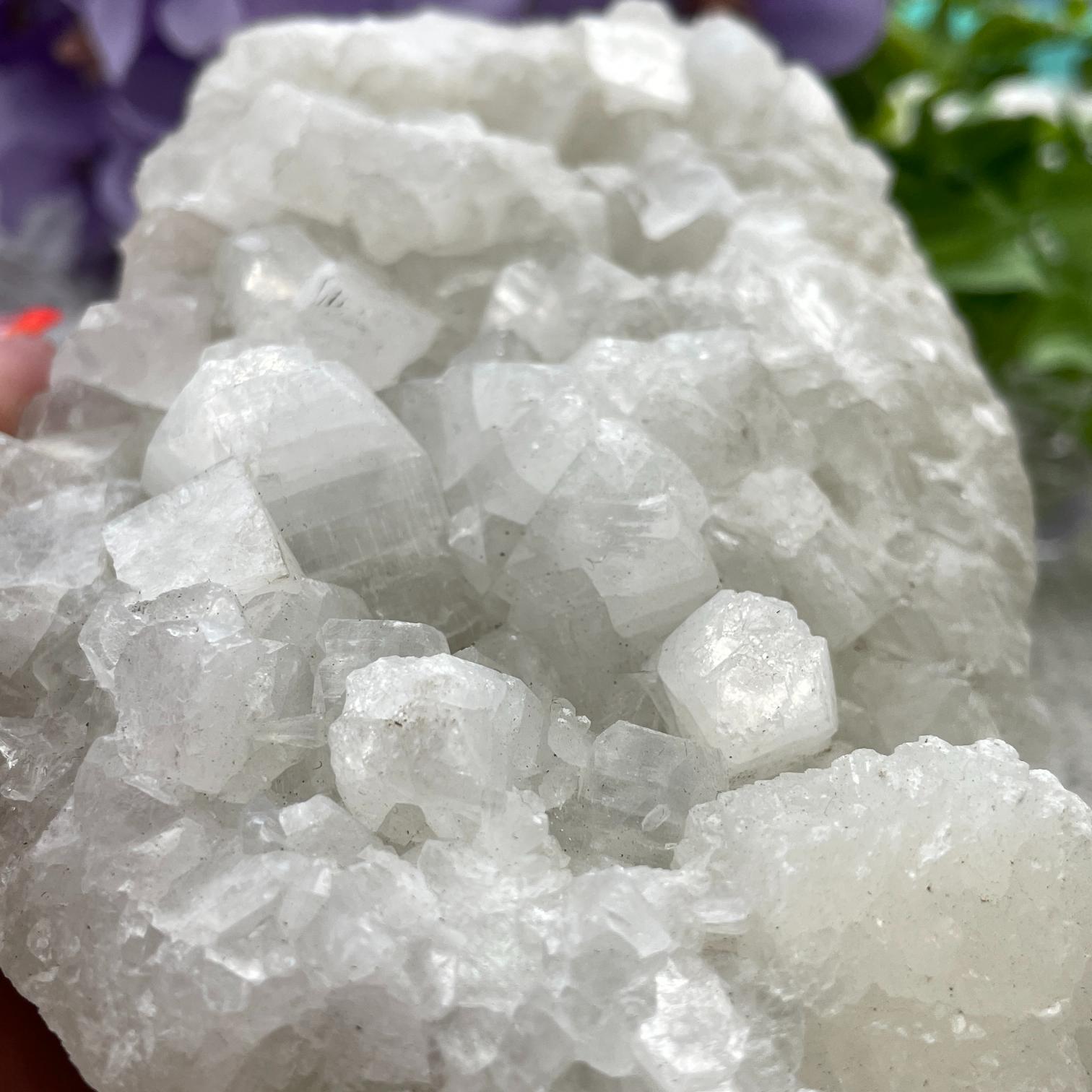 Apophyllite Cluster - 11