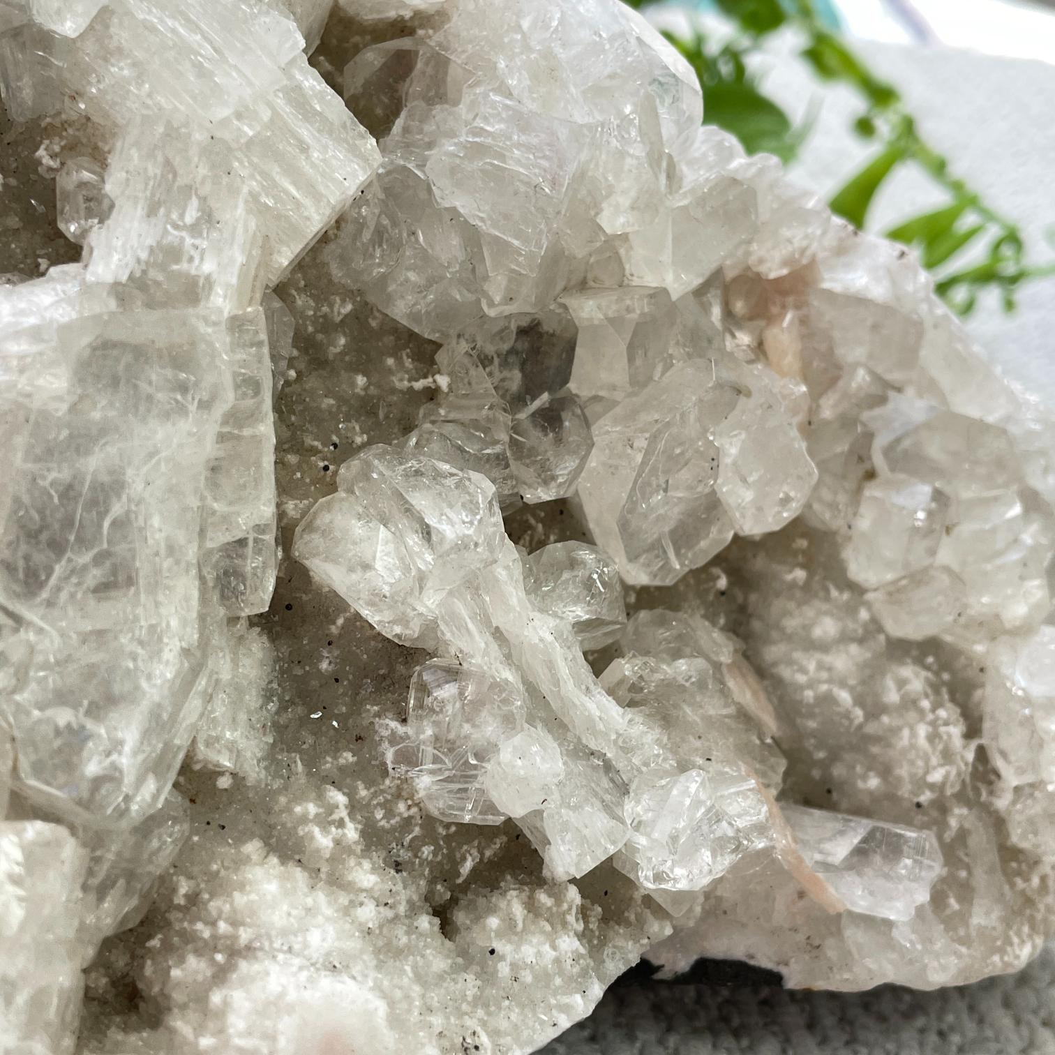 Apophyllite Cluster - 12