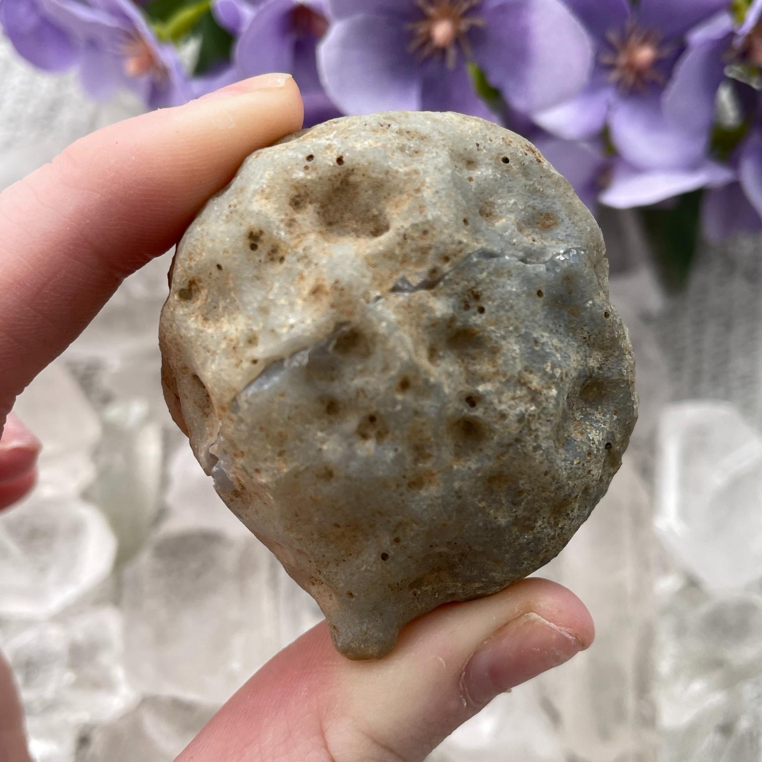 Quartz Geode (IN) - SM