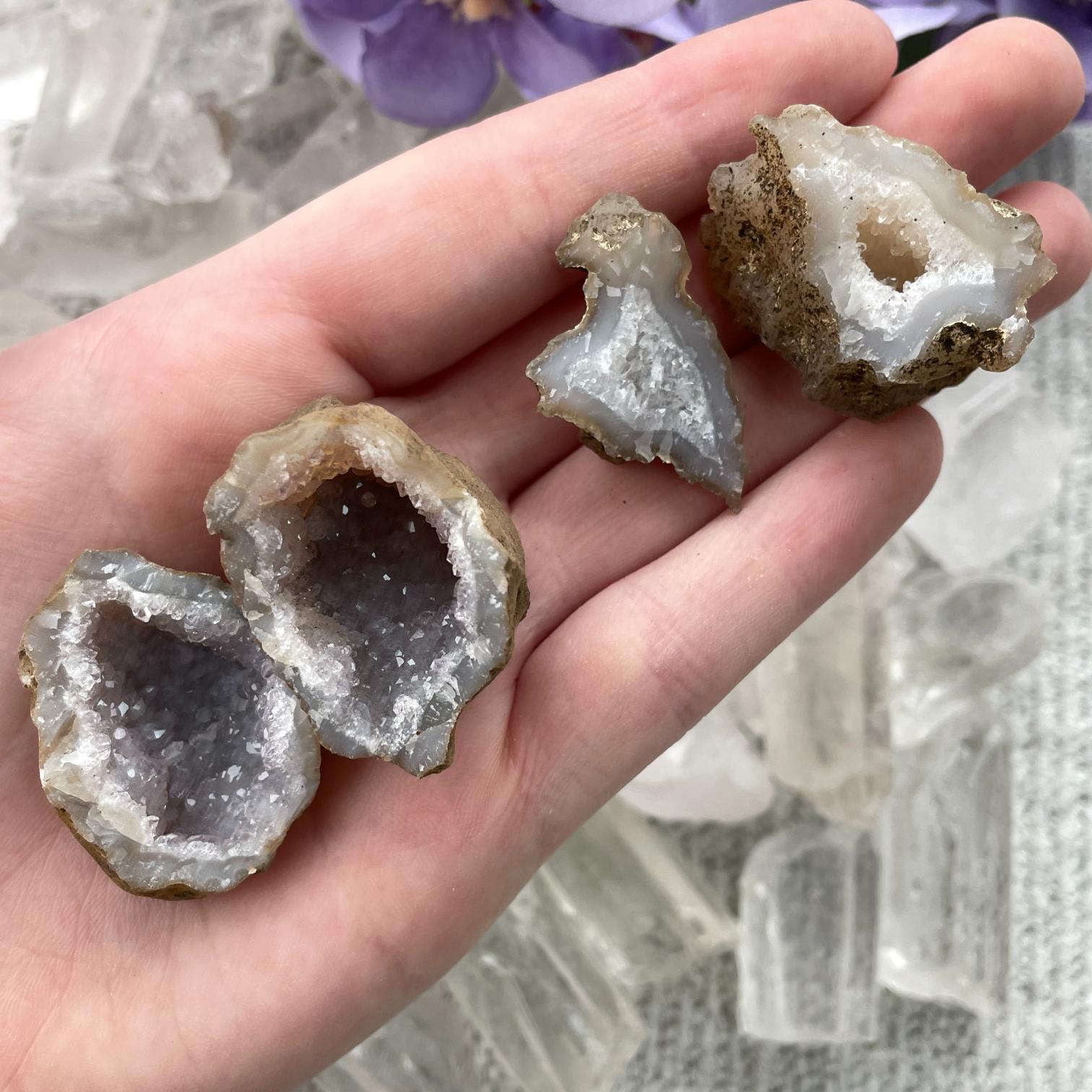 Quartz Geode (IN) - SM