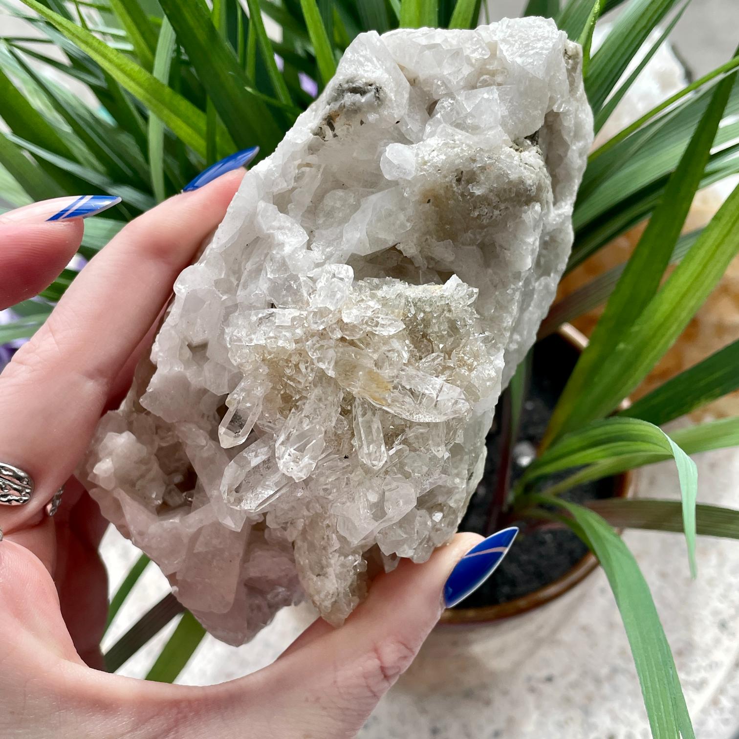 Clear Quartz Cluster - 50