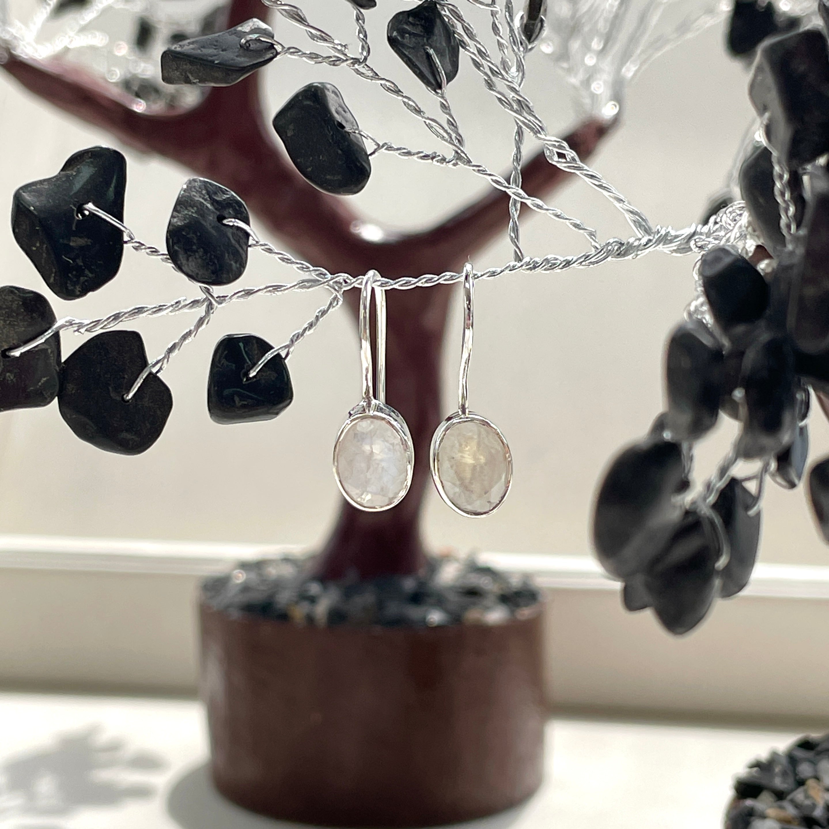 Sterling Silver Earrings - Rainbow Moonstone - Oval