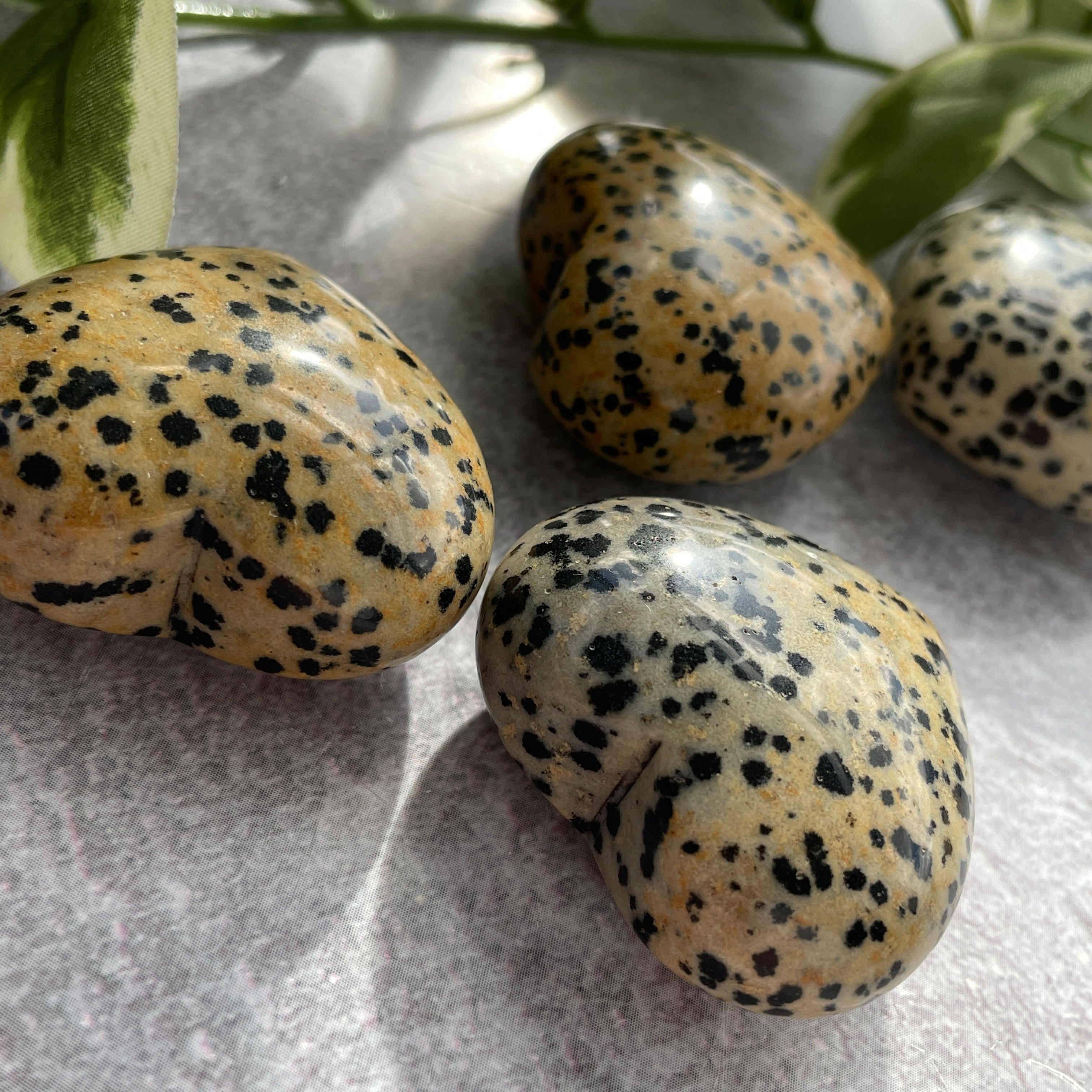 Dalmatian Jasper Heart 4cm