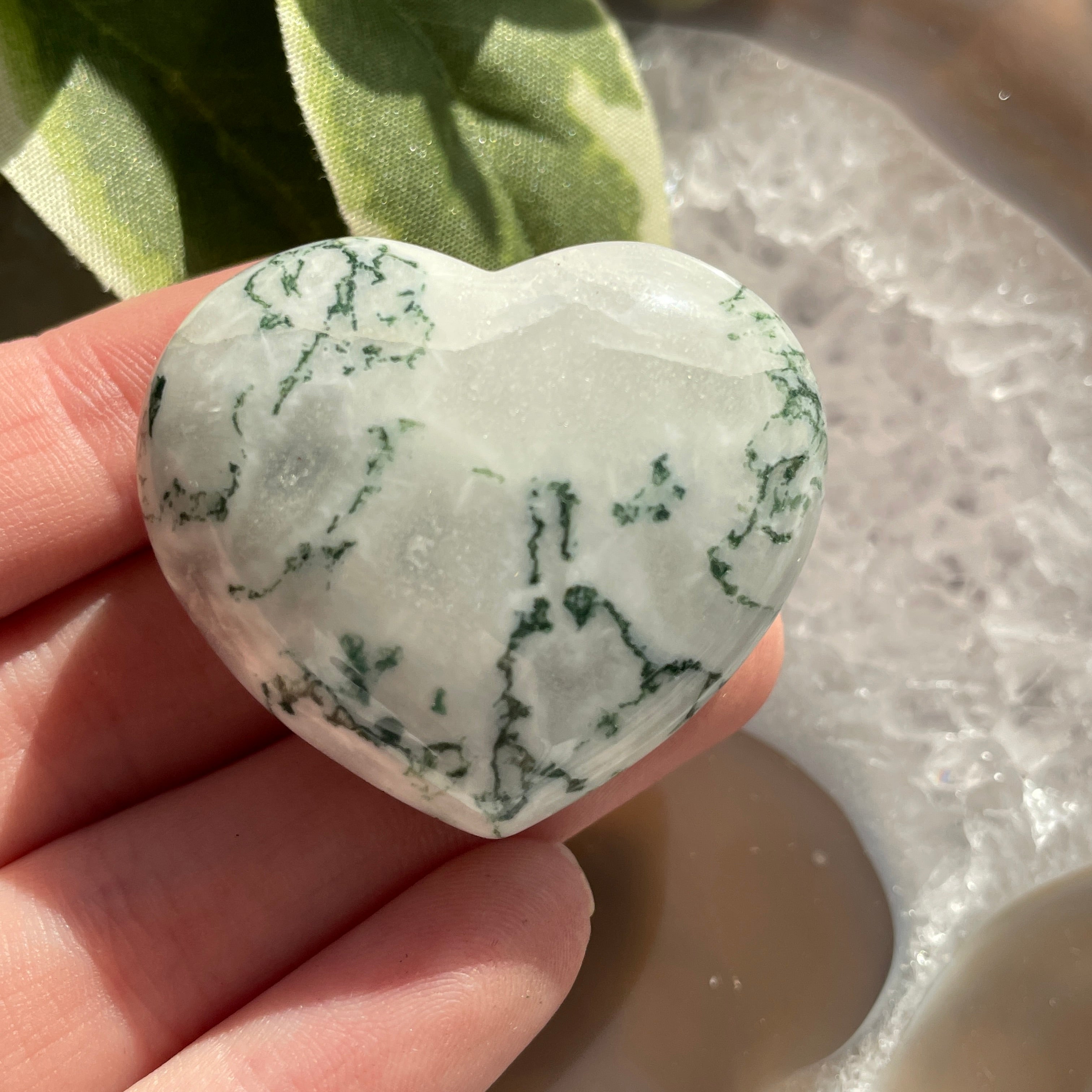 Tree Agate Heart 4cm