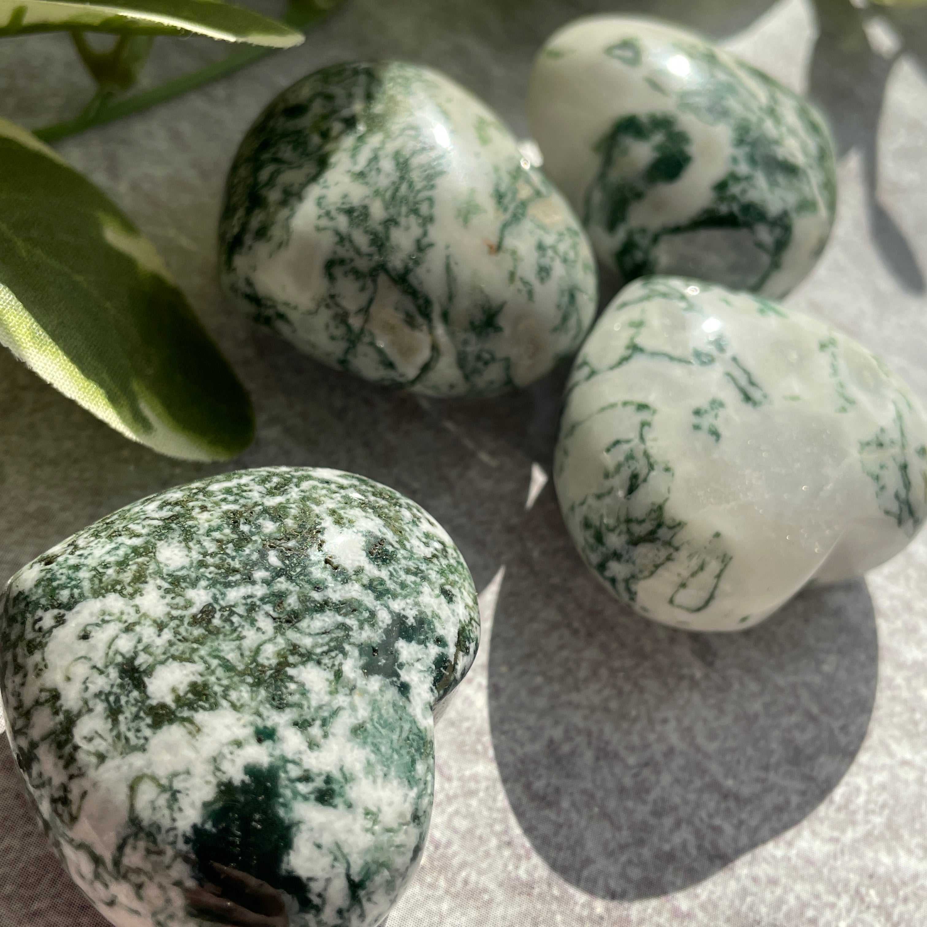 Tree Agate Heart 4cm