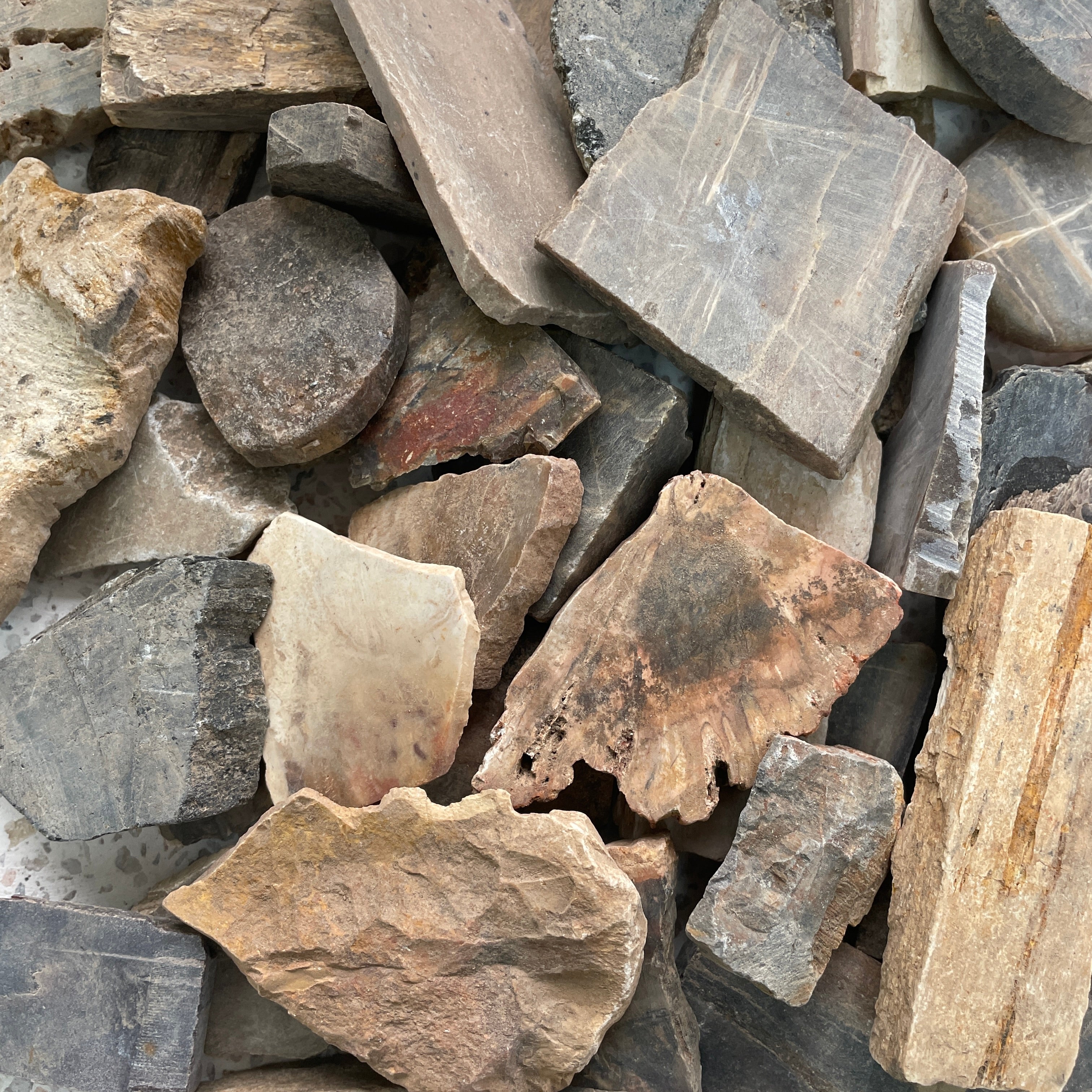 Rough - Slab - Petrified Wood - 1KG