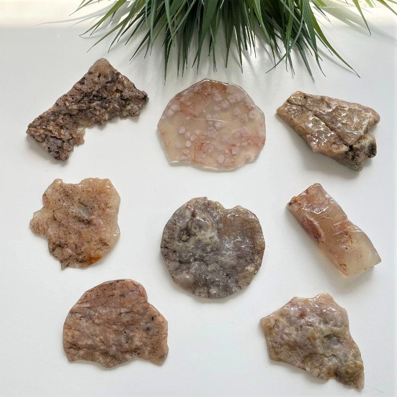 Polished Slabs - Flower Agate LGE - 500g (5-7pc)