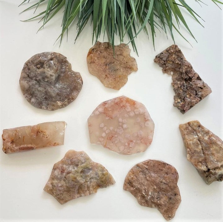 Polished Slabs - Flower Agate LGE - 500g (5-7pc)