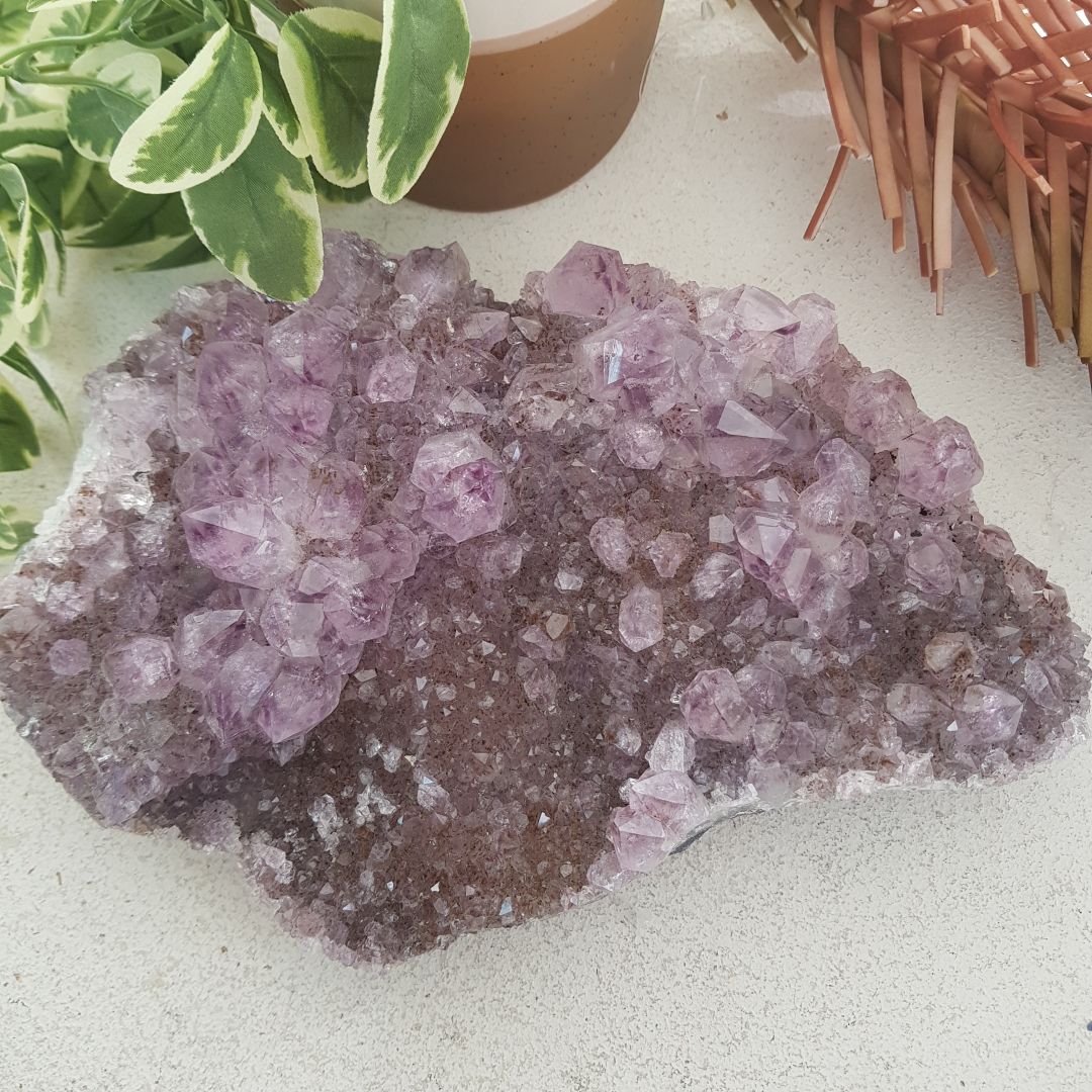 Amethyst Cluster - Large - D