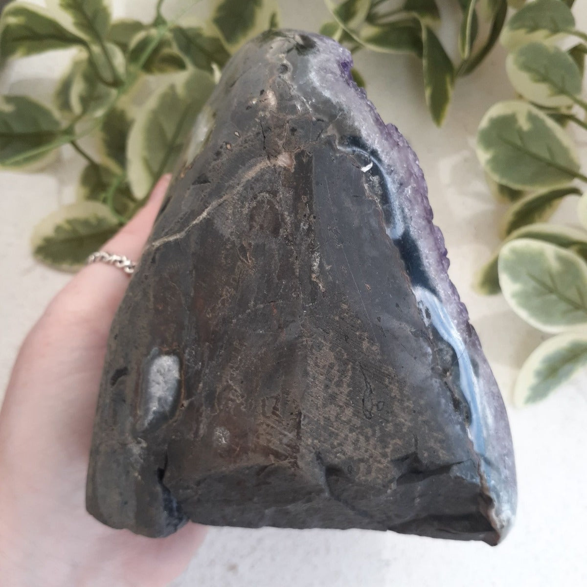 Amethyst - Cut Base Cluster - 58