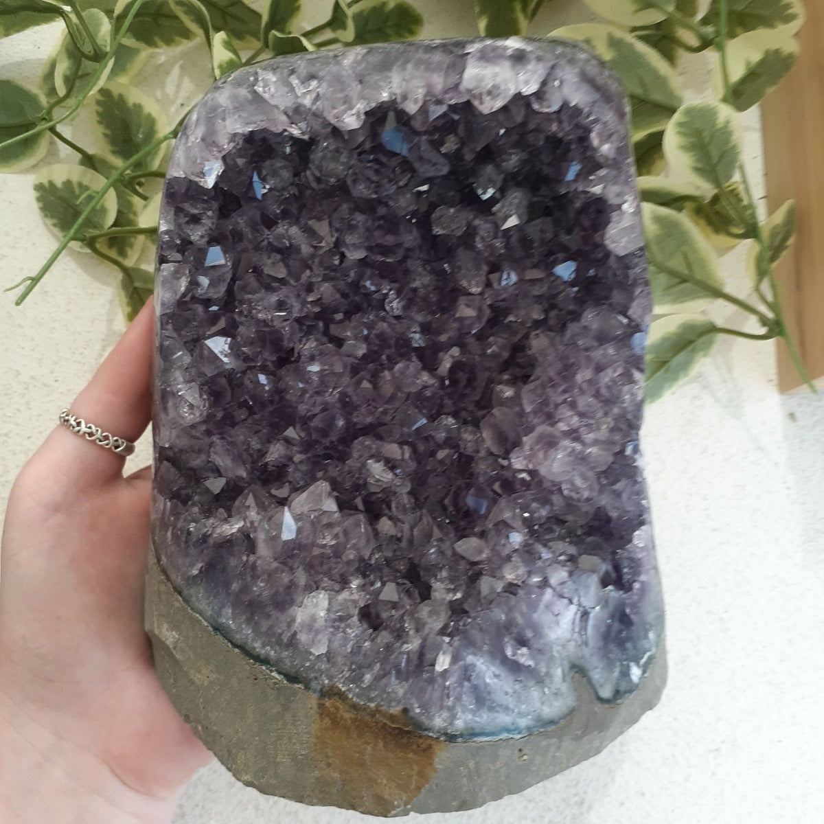 Amethyst - Cut Base Cluster - 60